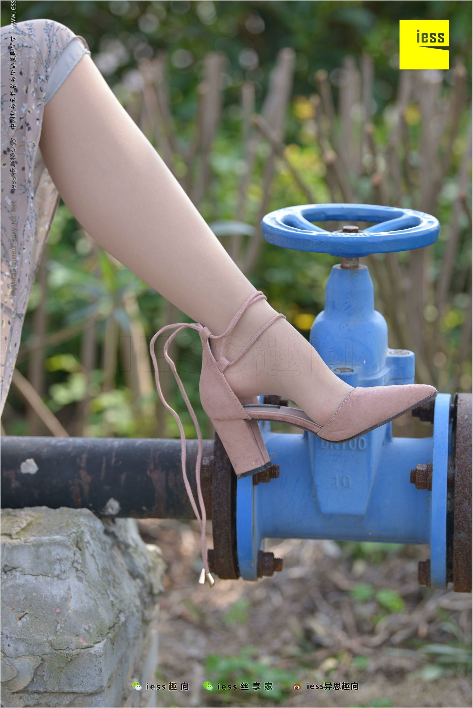 [IESS异思趣向]2018.04.11 NO.215 馨月