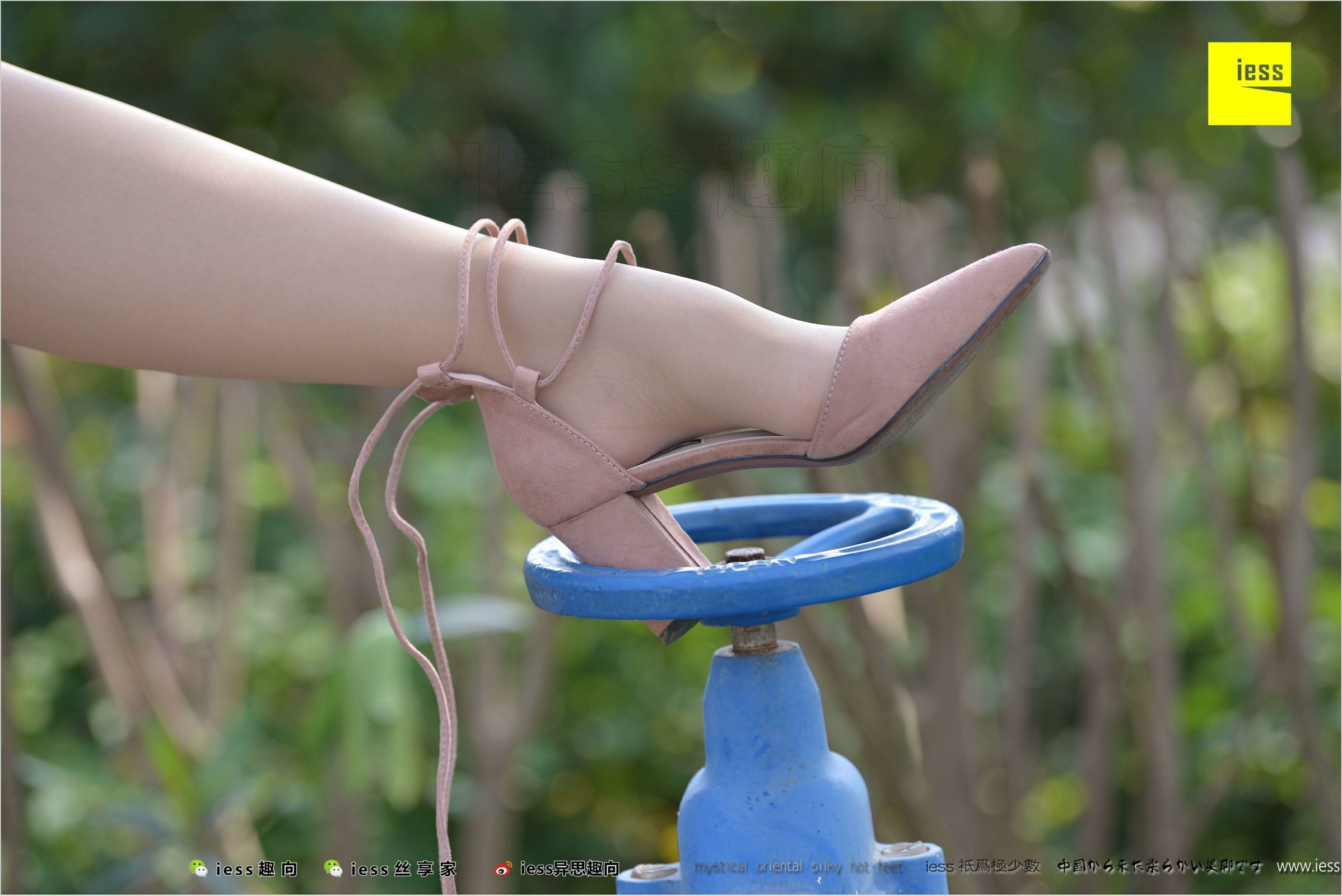 [IESS异思趣向]2018.04.11 NO.215 馨月