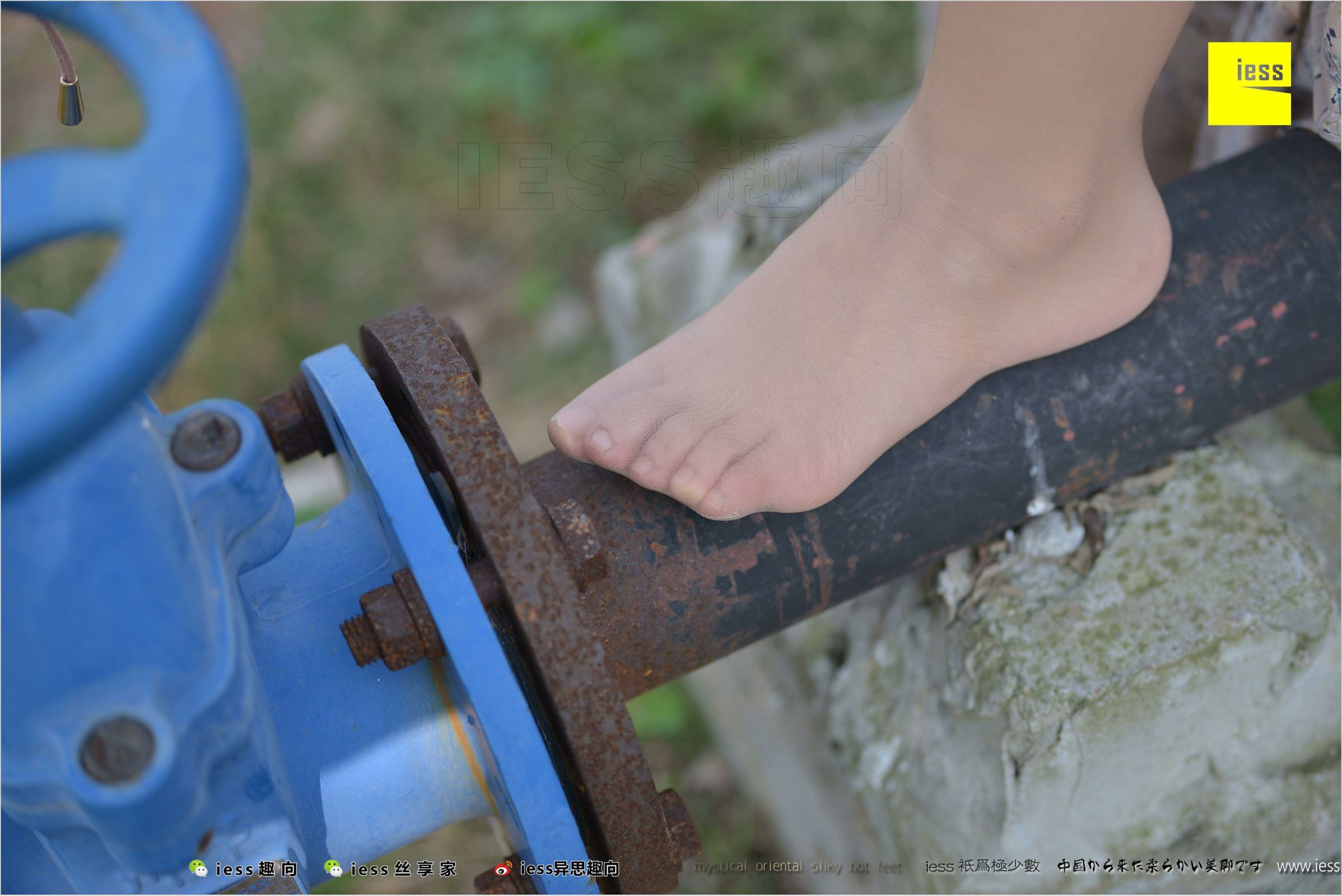 [IESS异思趣向]2018.04.11 NO.215 馨月