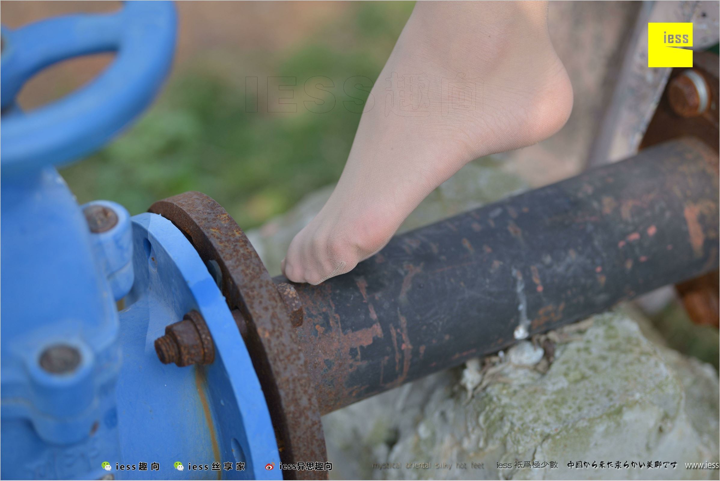 [IESS异思趣向]2018.04.11 NO.215 馨月