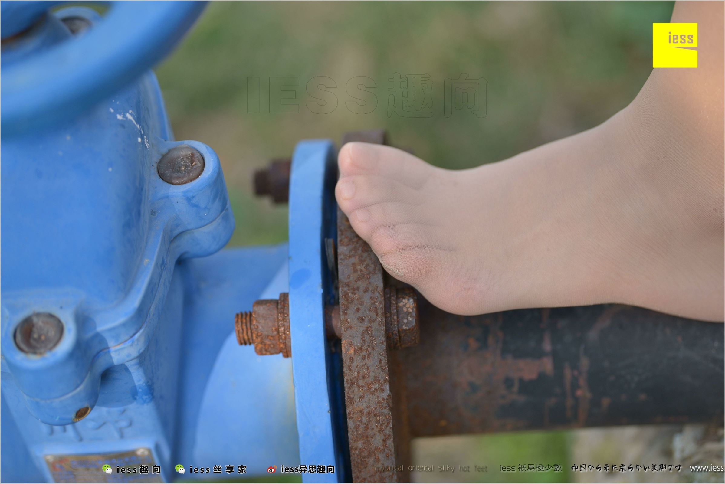 [IESS异思趣向]2018.04.11 NO.215 馨月