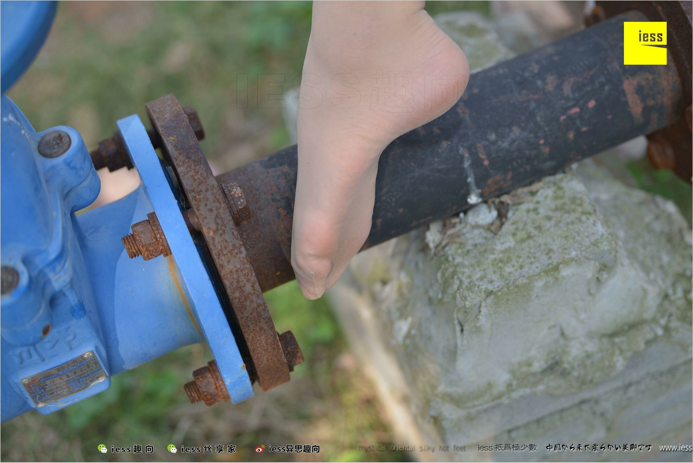 [IESS异思趣向]2018.04.11 NO.215 馨月