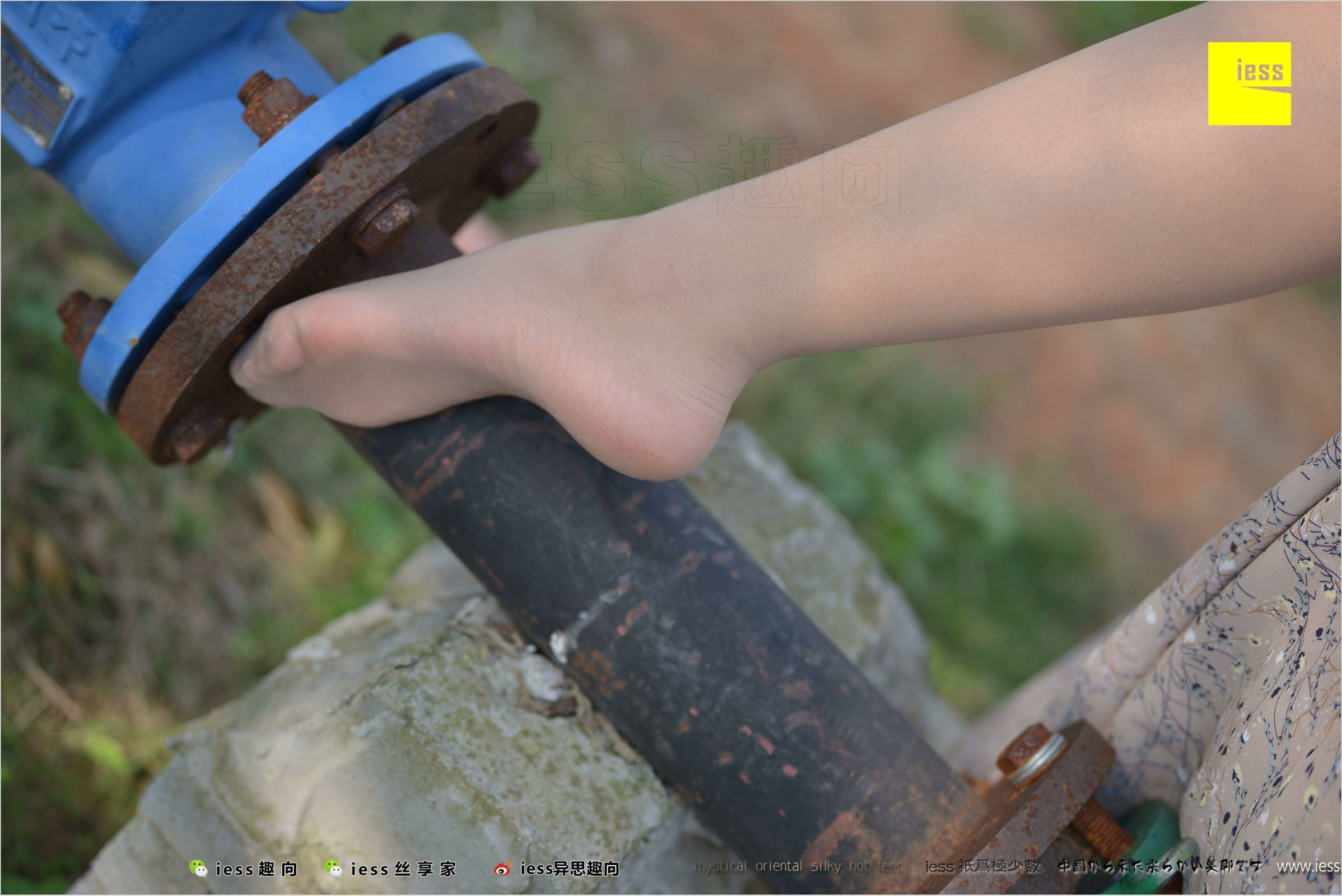 [IESS异思趣向]2018.04.11 NO.215 馨月