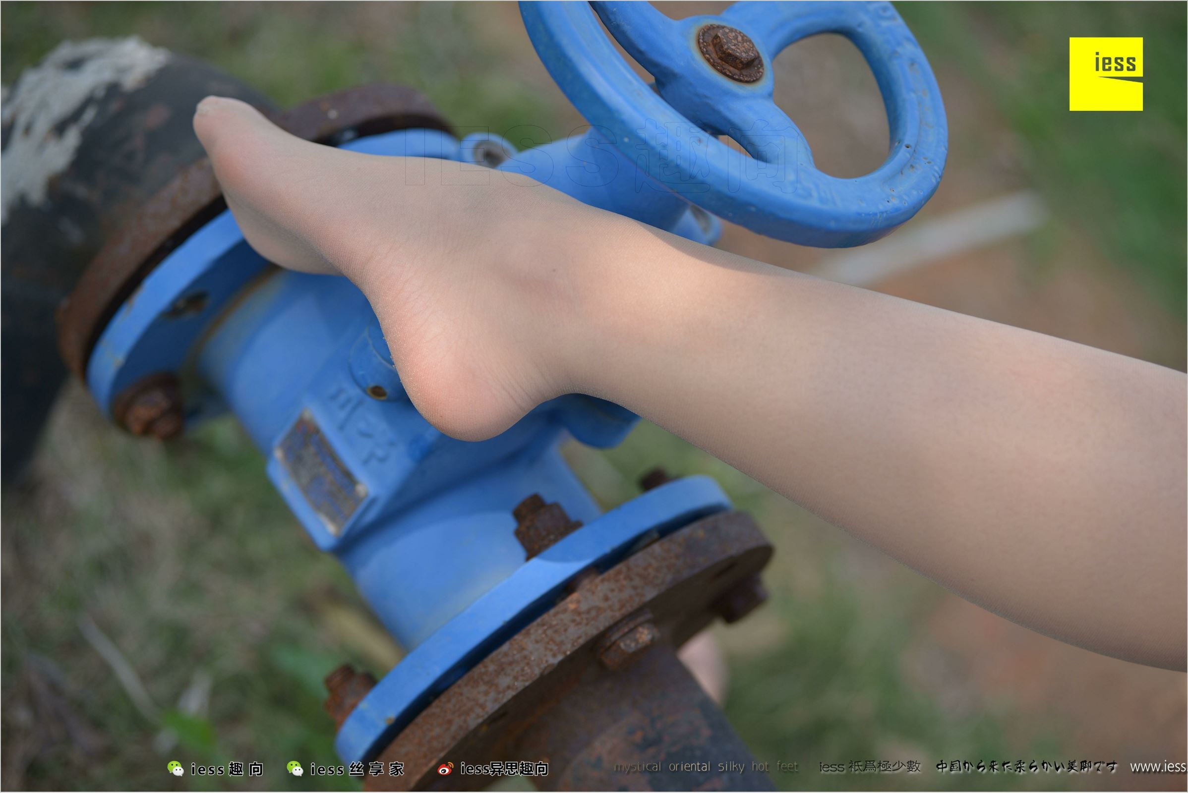 [IESS异思趣向]2018.04.11 NO.215 馨月