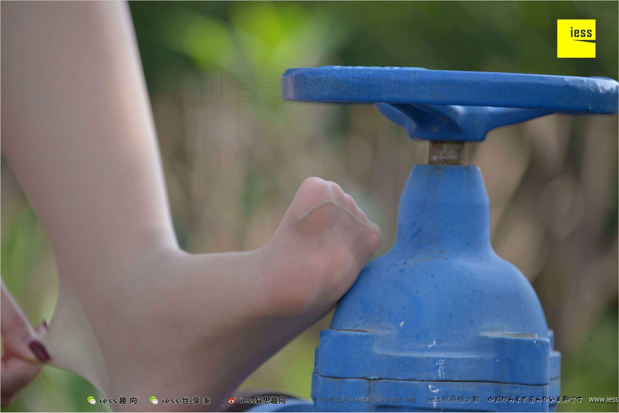 [IESS异思趣向]2018.04.11 NO.215 馨月