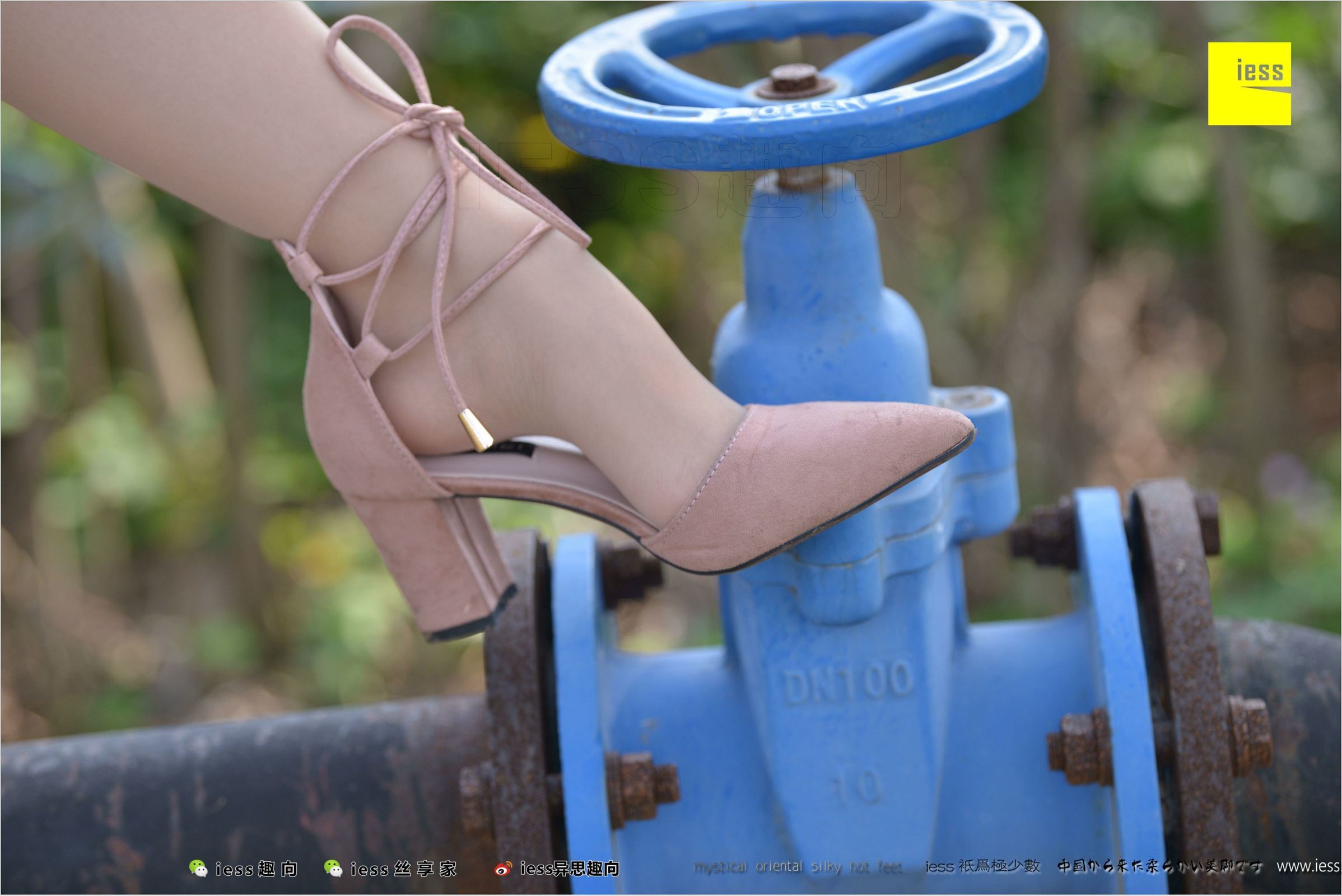 [IESS异思趣向]2018.04.11 NO.215 馨月