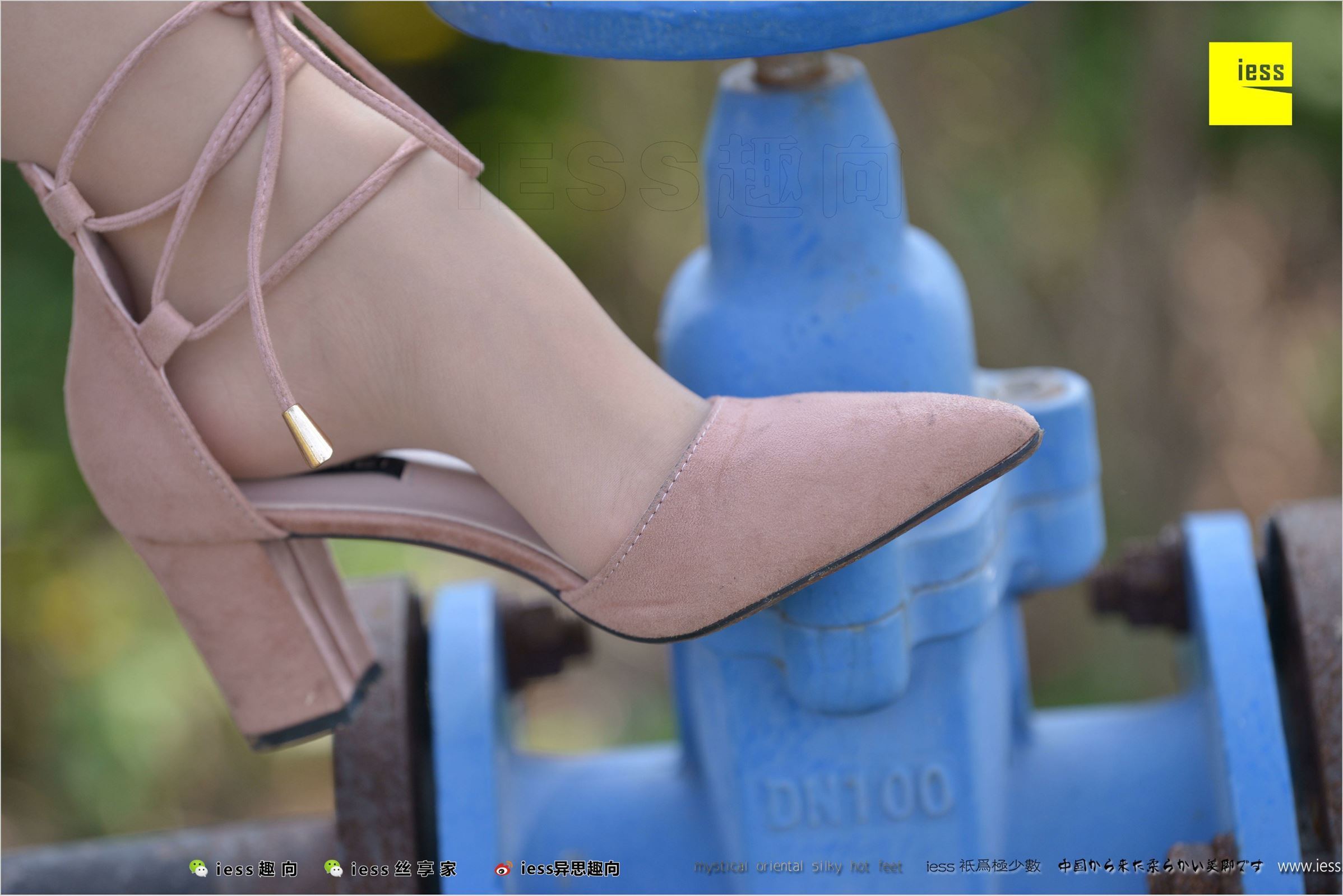 [IESS异思趣向]2018.04.11 NO.215 馨月