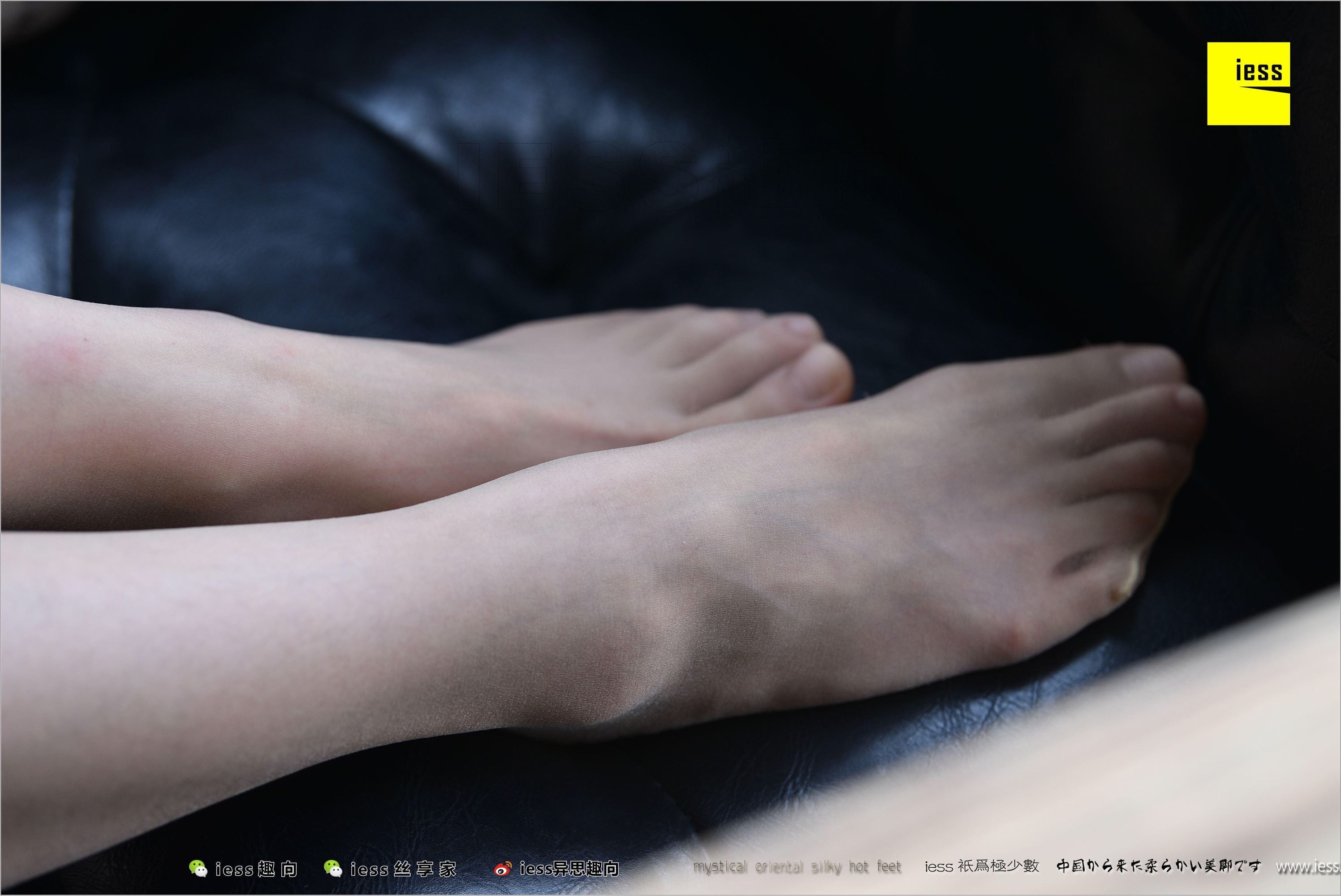 [IESS异思趣向] 2018.04.14 No.217 春春 长丝花瓣