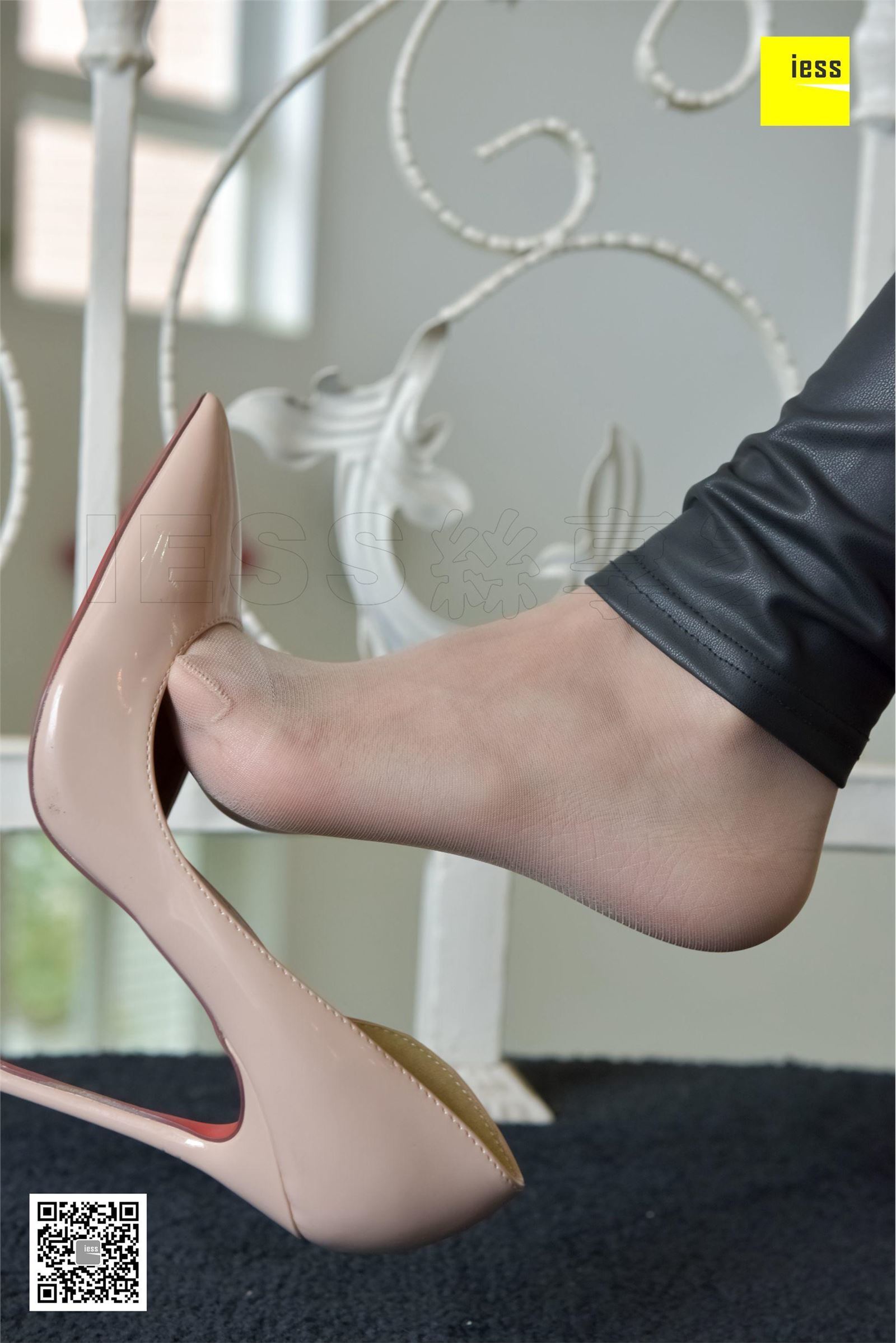 [IESS异思趣向] 2017.11.27 SXJ.112 君君 包裹里的肉丝