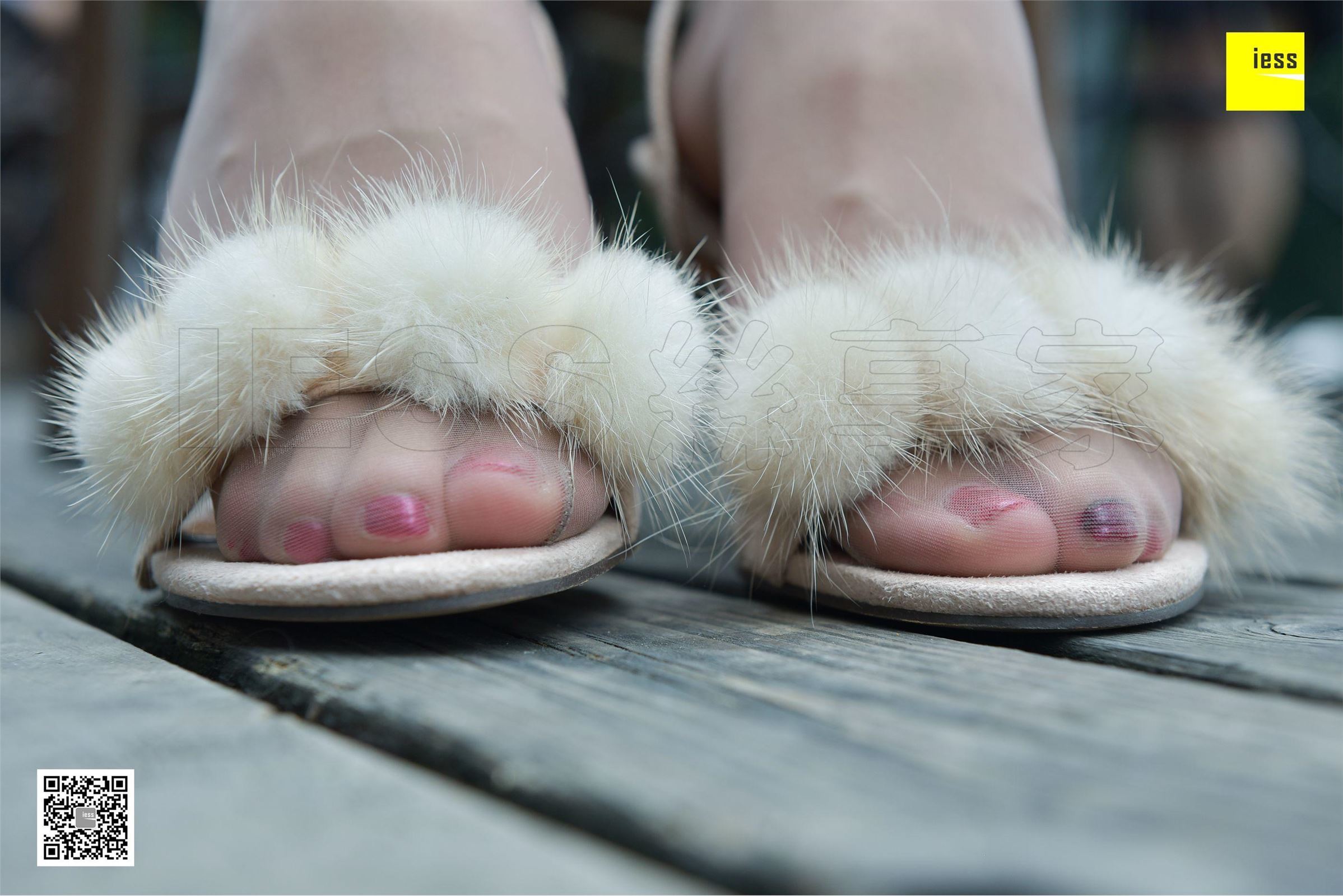 [IESS异思趣向]2017.11.29 SXJ.114 晶晶