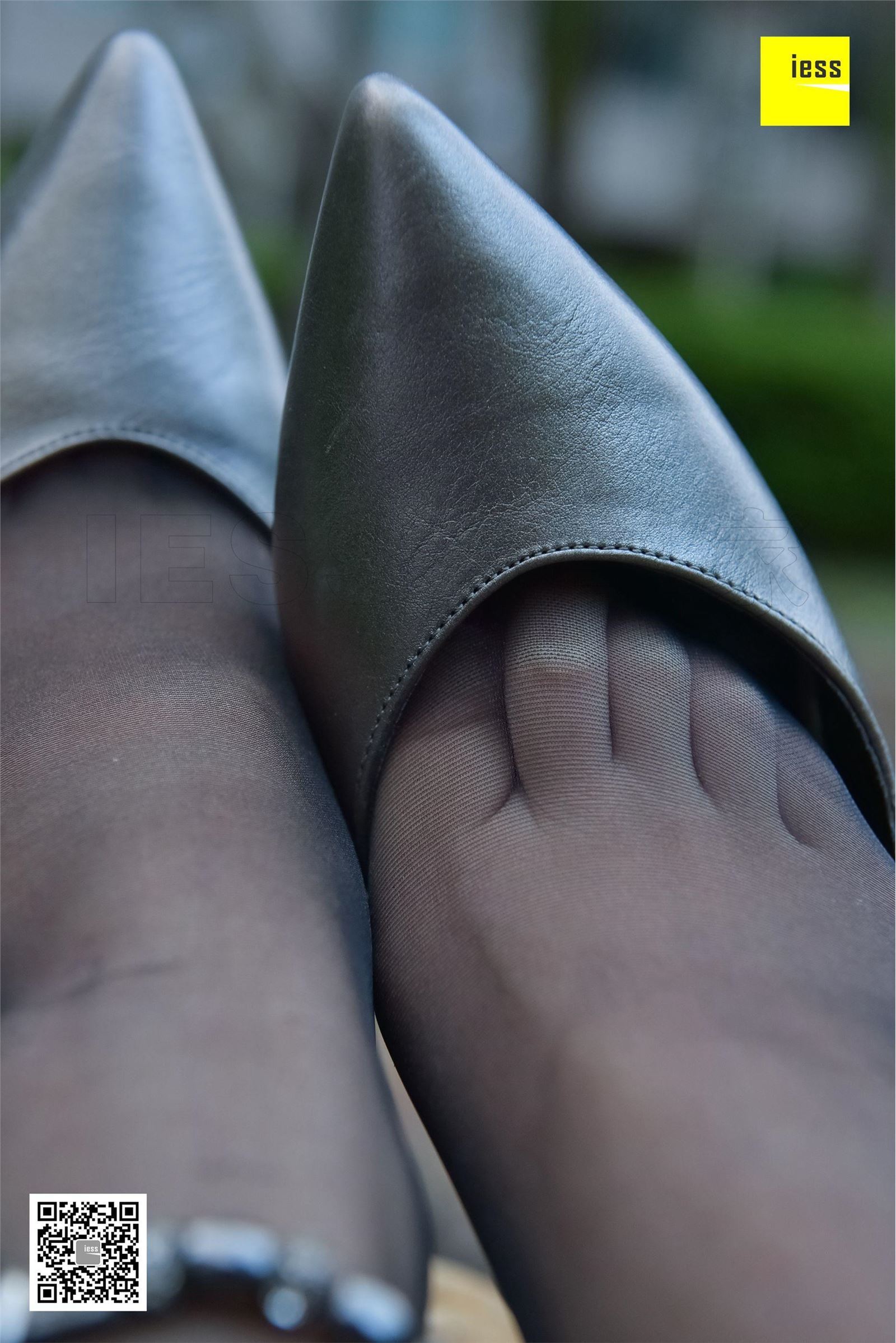 [IESS异思趣向]2017.11.30 SXJ.115 秋秋