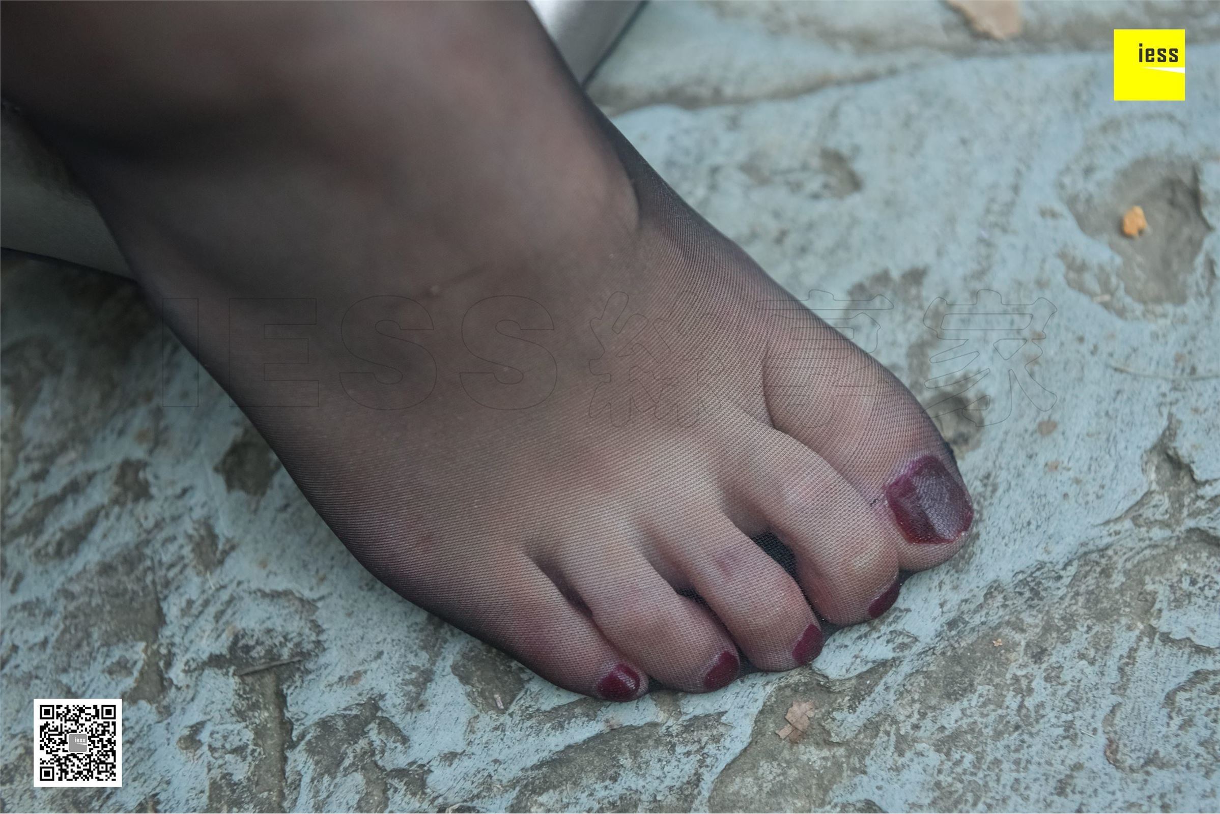 [IESS异思趣向]2017.11.30 SXJ.115 秋秋