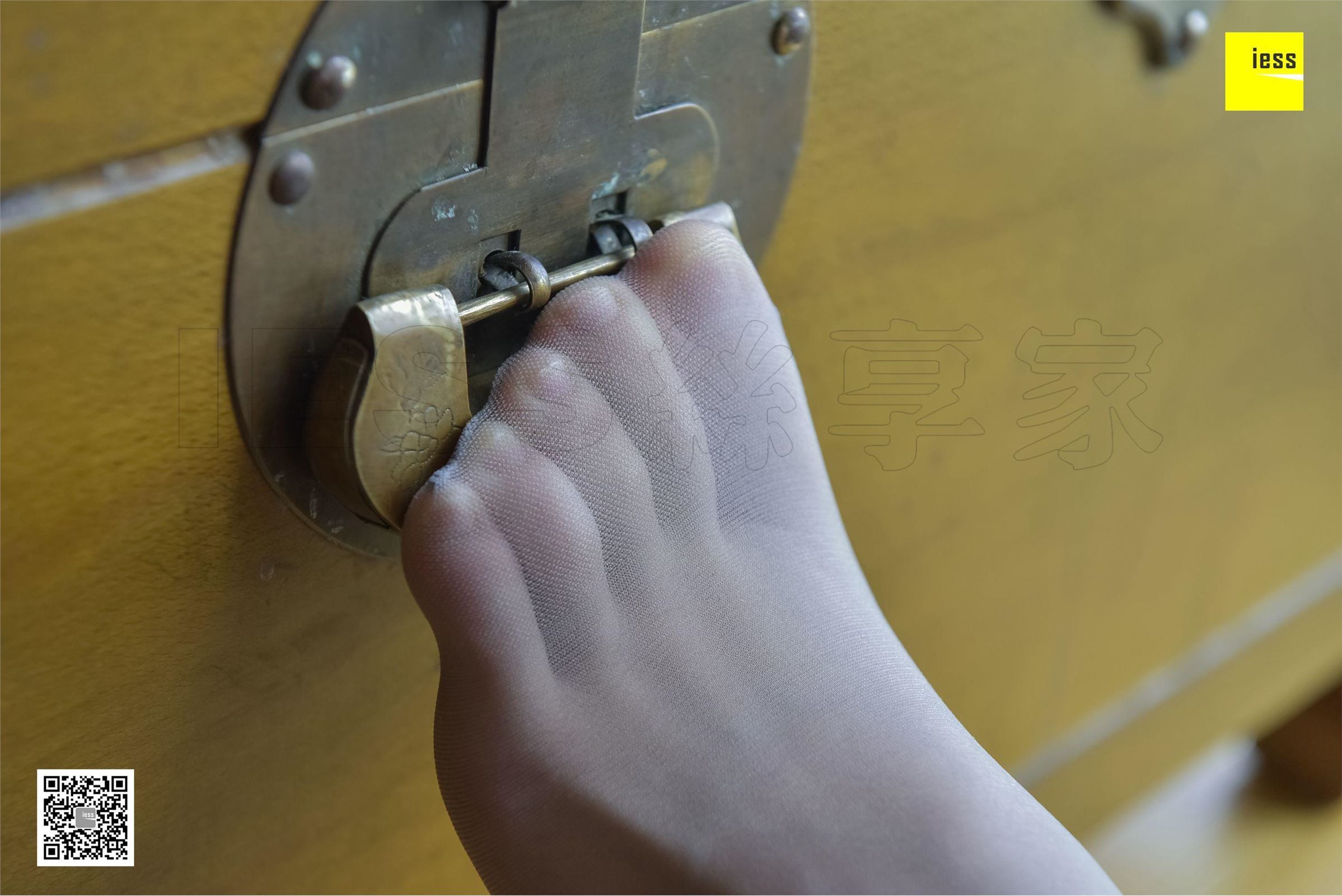 [IESS异思趣向]2017.12.01 SXJ.116 姗姗