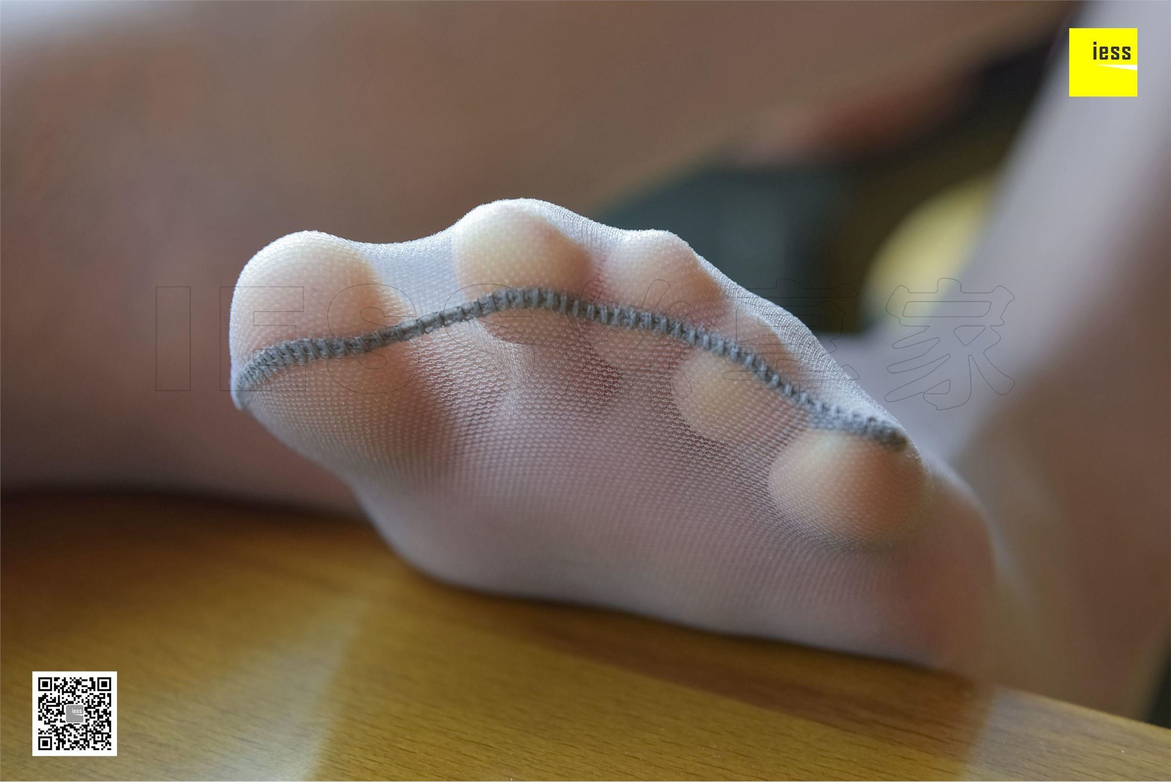 [IESS异思趣向]2017.12.01 SXJ.116 姗姗