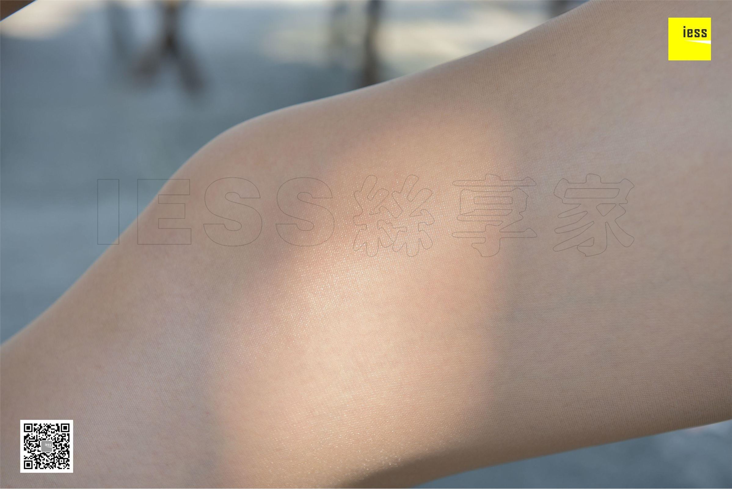 [IESS异思趣向]2017.12.08 SXJ.121 紫紫