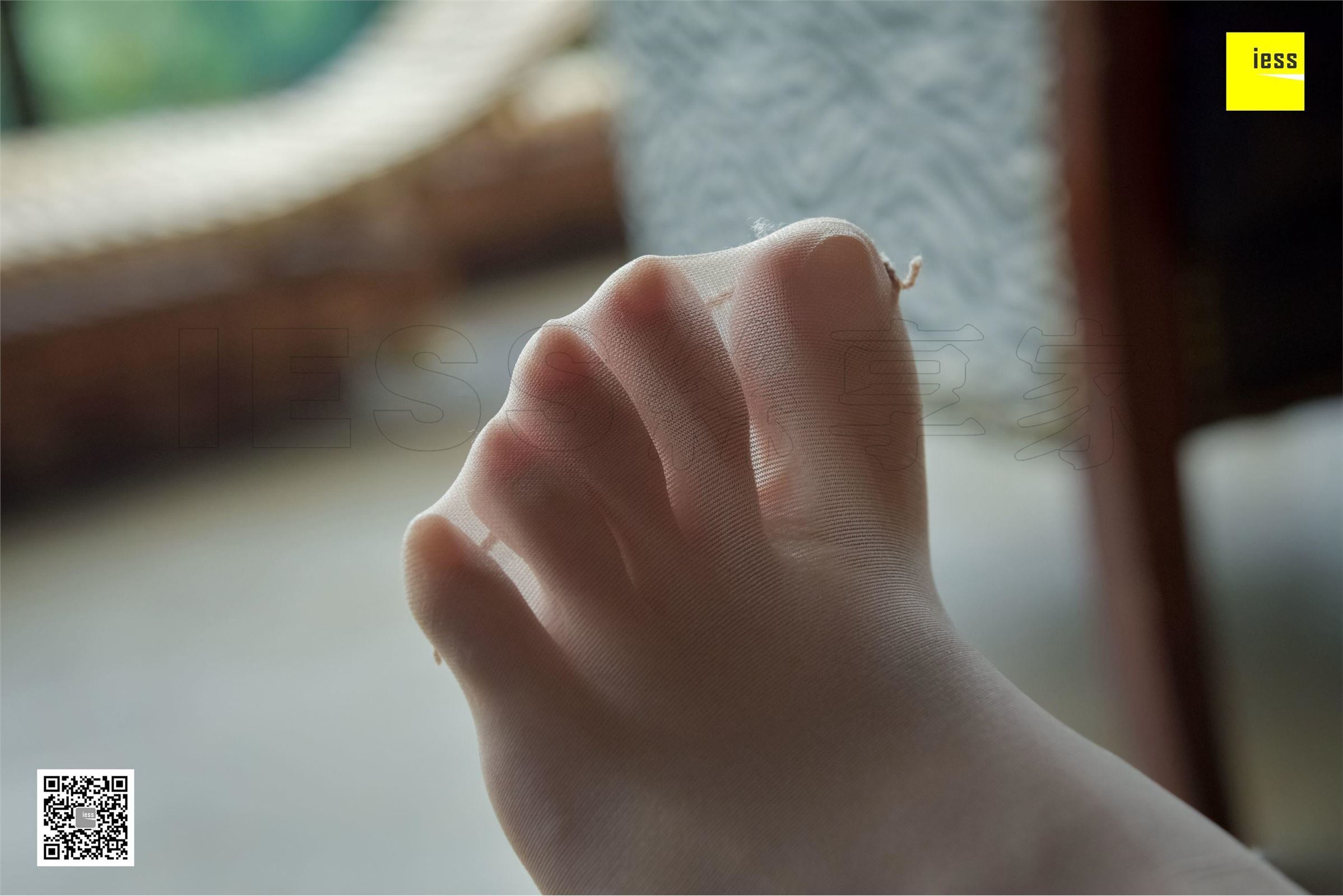 [IESS异思趣向]2017.12.18 SXJ.127 婉萍