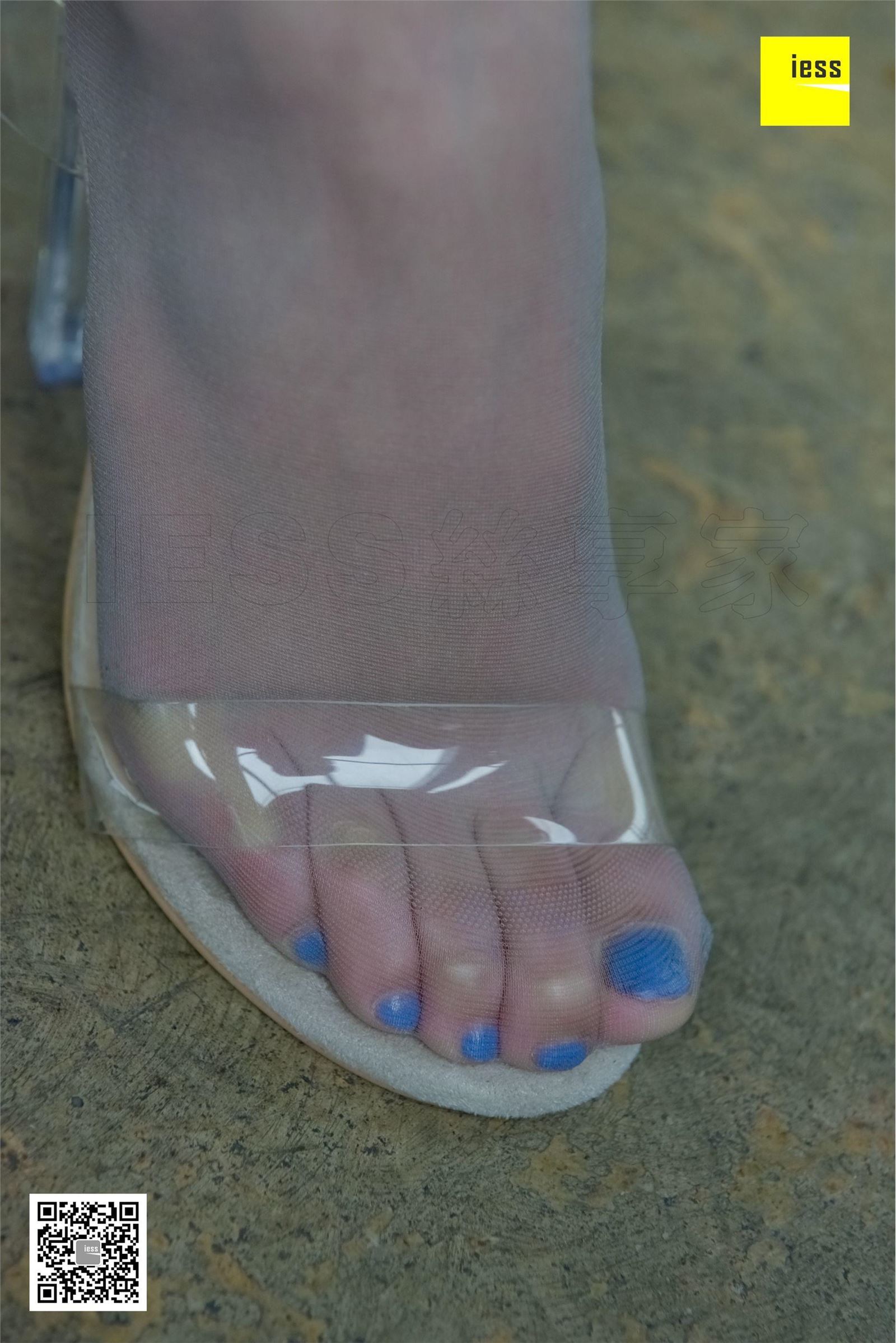 [IESS异思趣向]2017.12.23 SXJ.131 秋秋