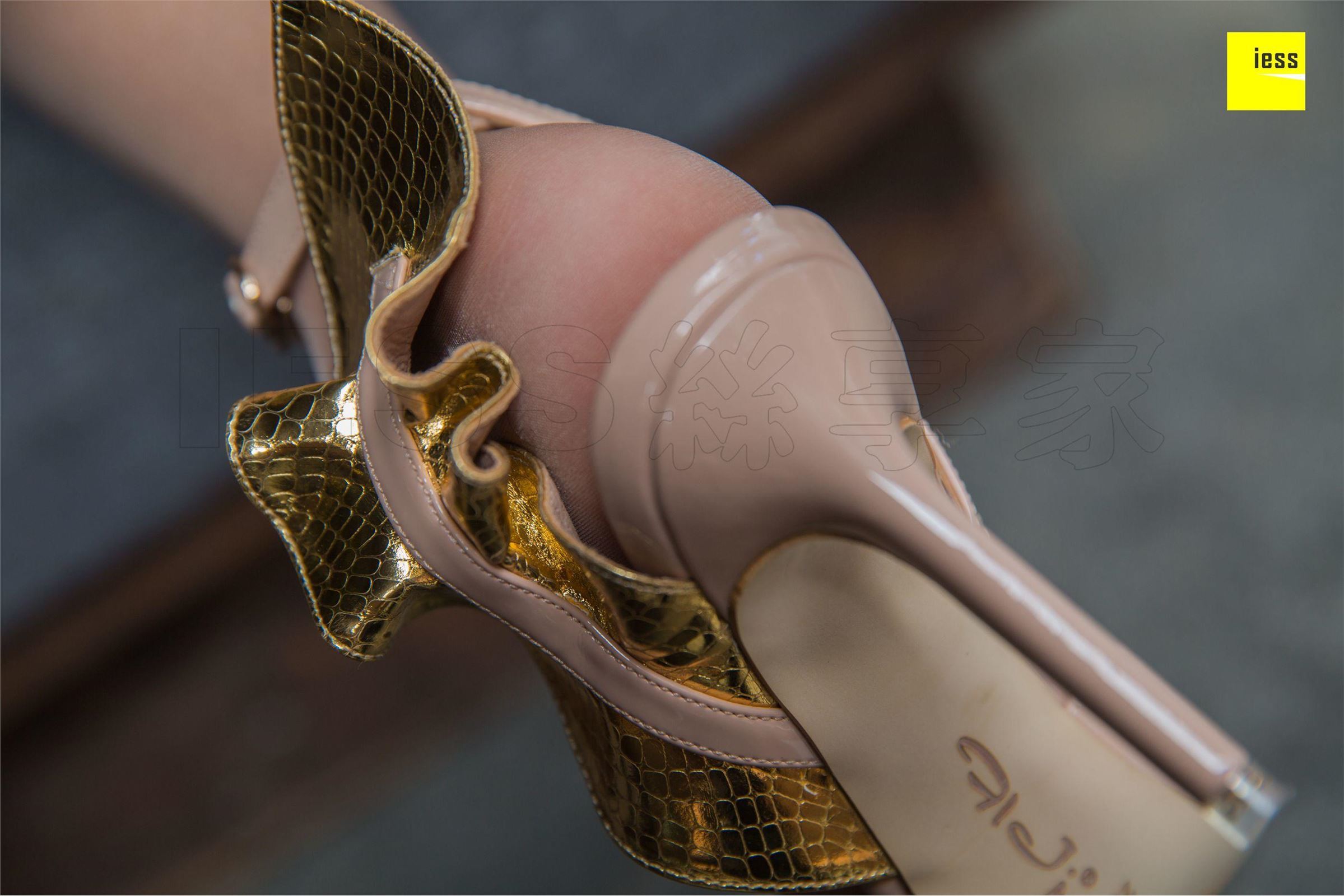 [IESS异思趣向]2018.07.02 SXJ.265 婉萍