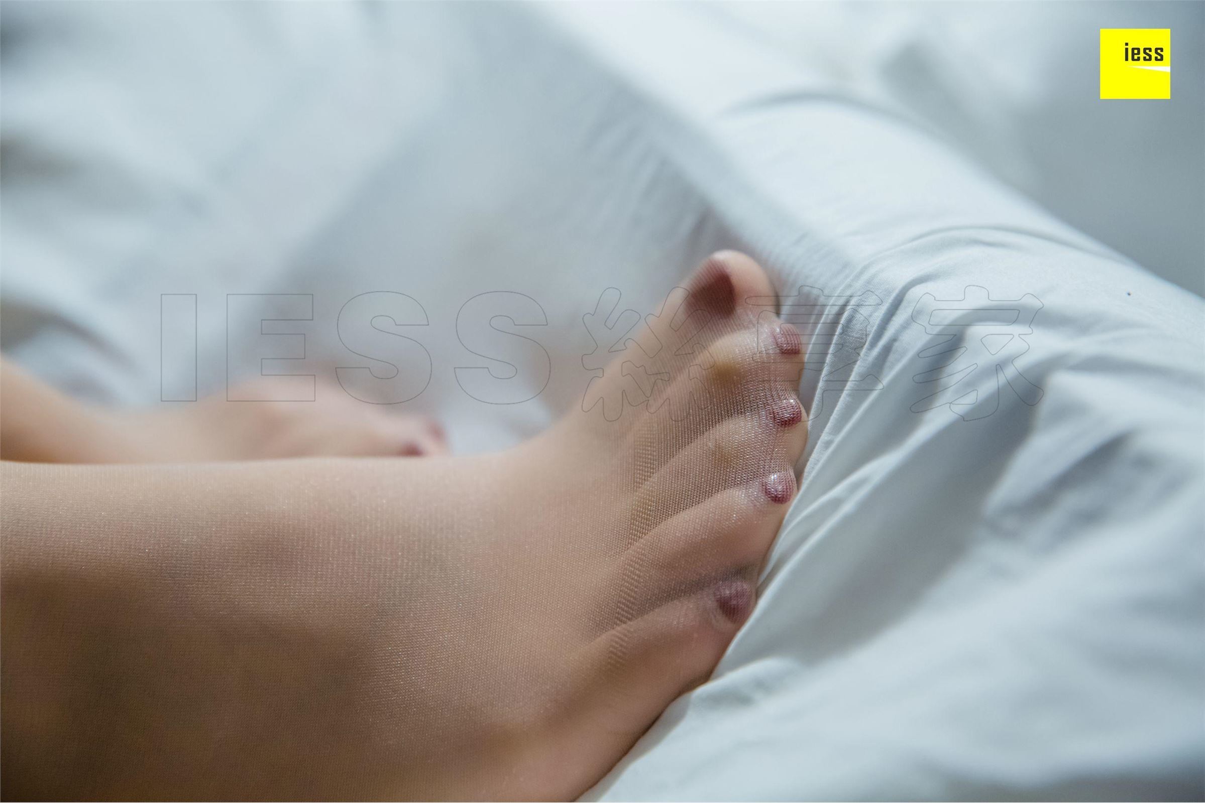 [IESS异思趣向]2018.08.03 SXJ.287 秋秋