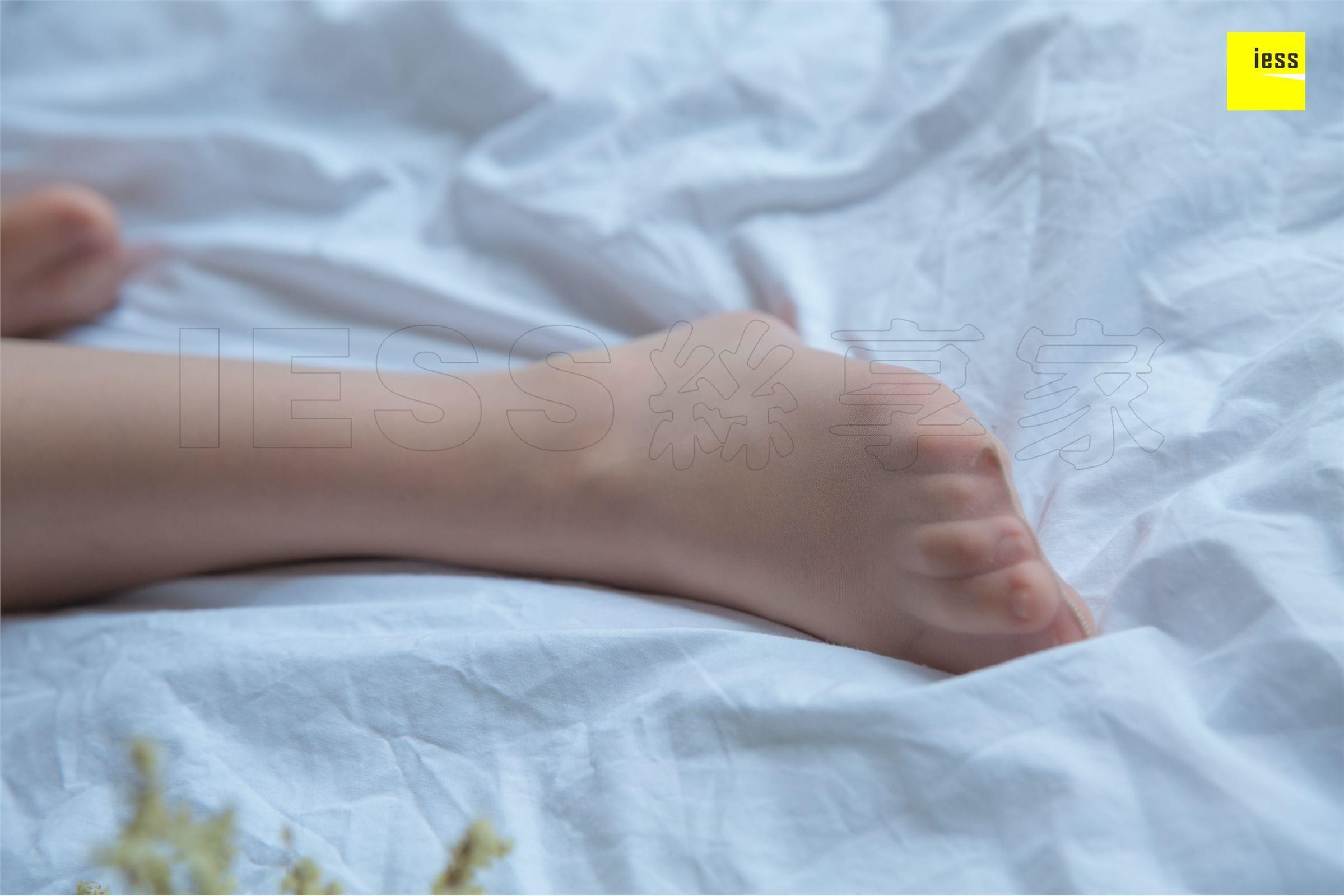 [IESS异思趣向]2018.08.13 SXJ.293 文欣