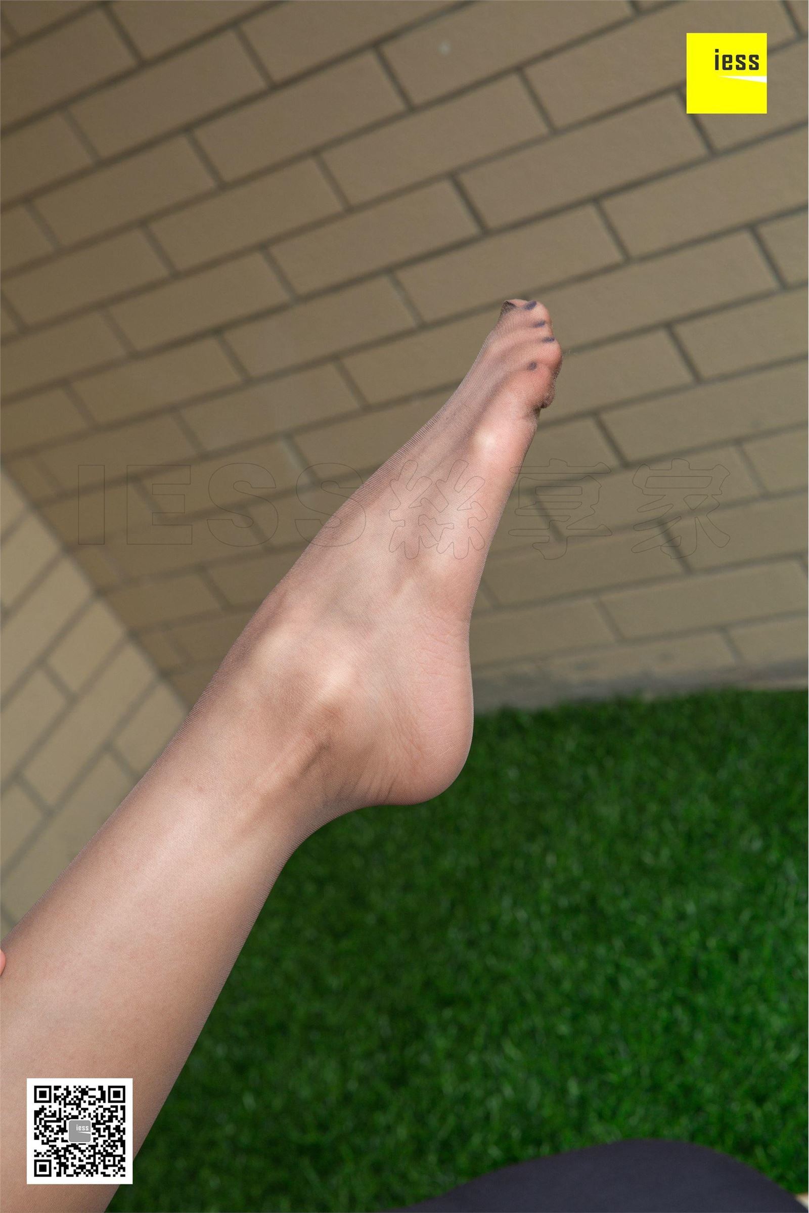 [IESS异思趣向]2018.08.20 SXJ.298 君君