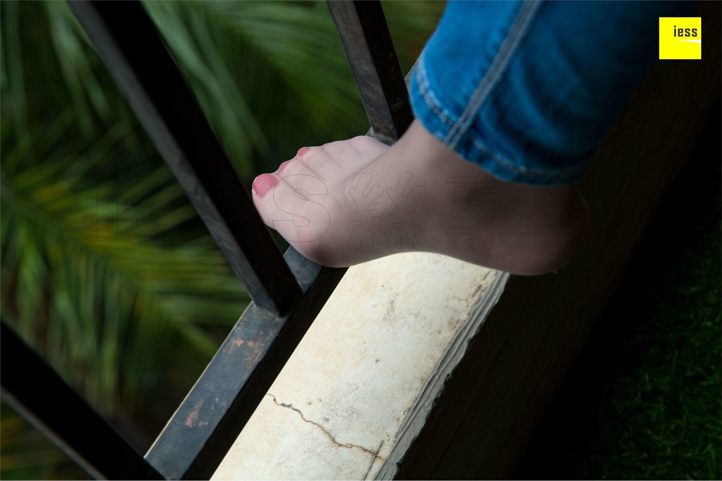 [IESS异思趣向]2018.09.25 SXJ.323 名利姐