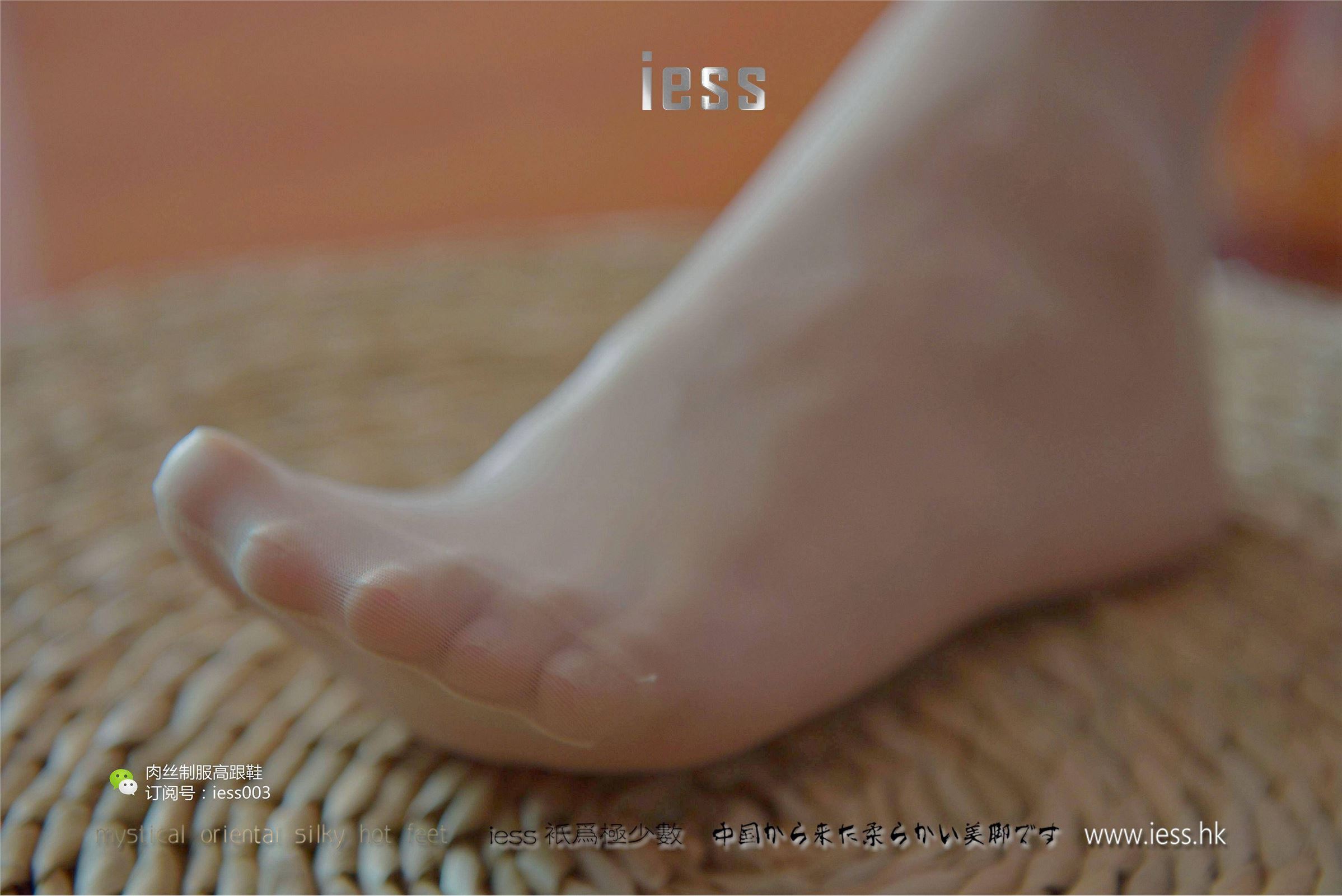 [IESS异思趣向] 2017.05.14 SXJ005 婉萍 肉色长（蚕）丝