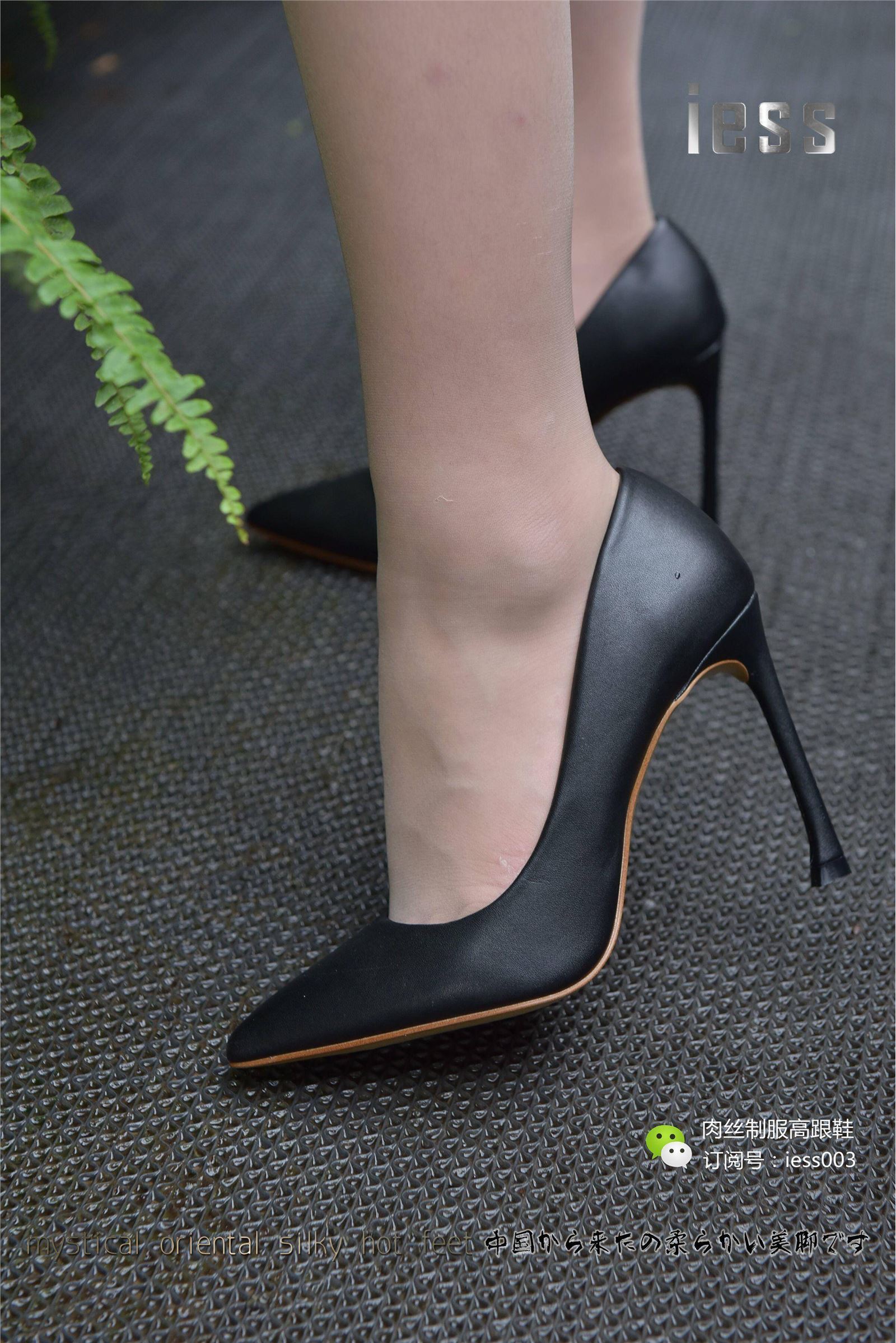 [IESS异思趣向] 2017.05.15 SXJ007 疏影 午后咖啡馆小憩