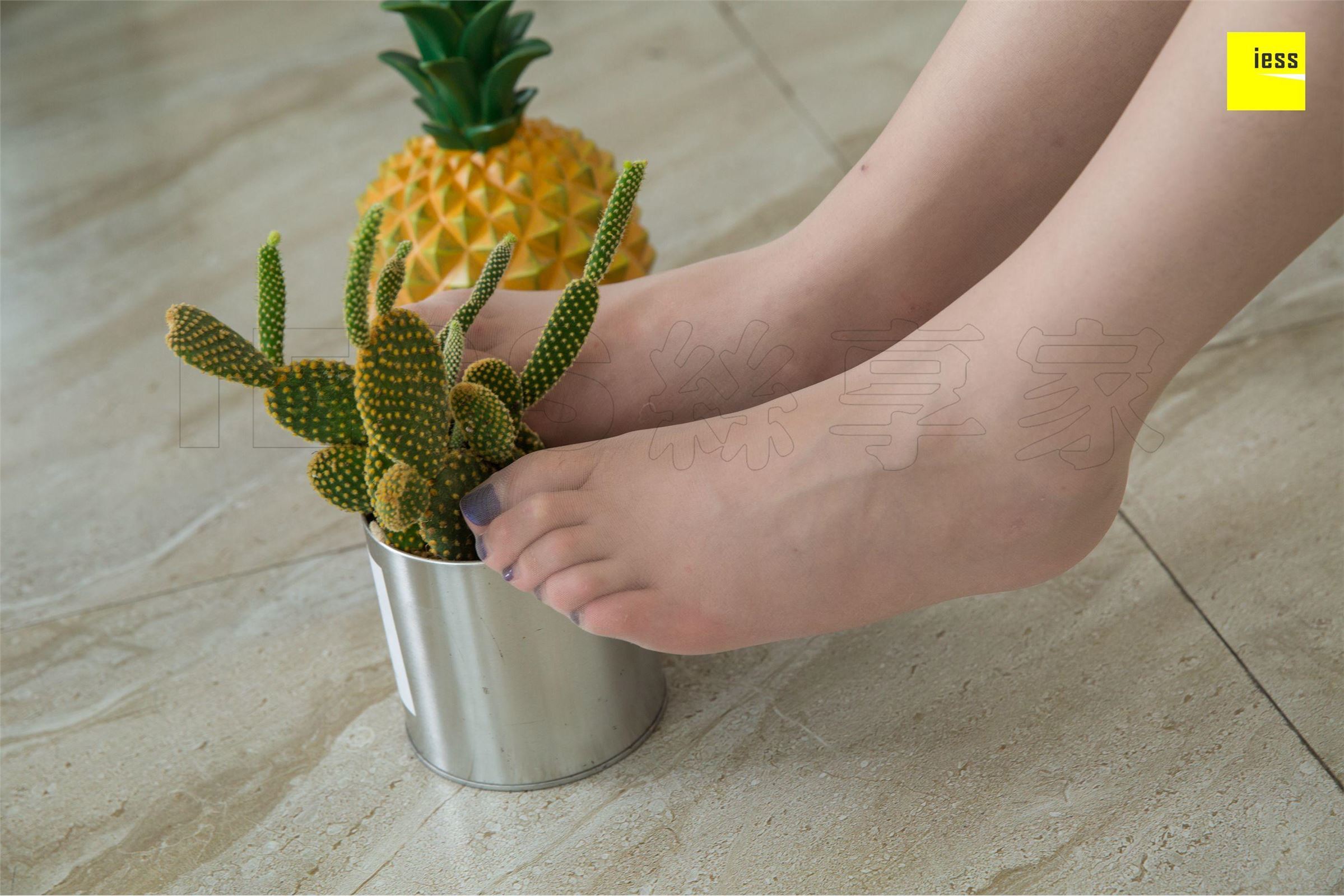 [IESS异思趣向]2018.10.28 SXJ348 九妹