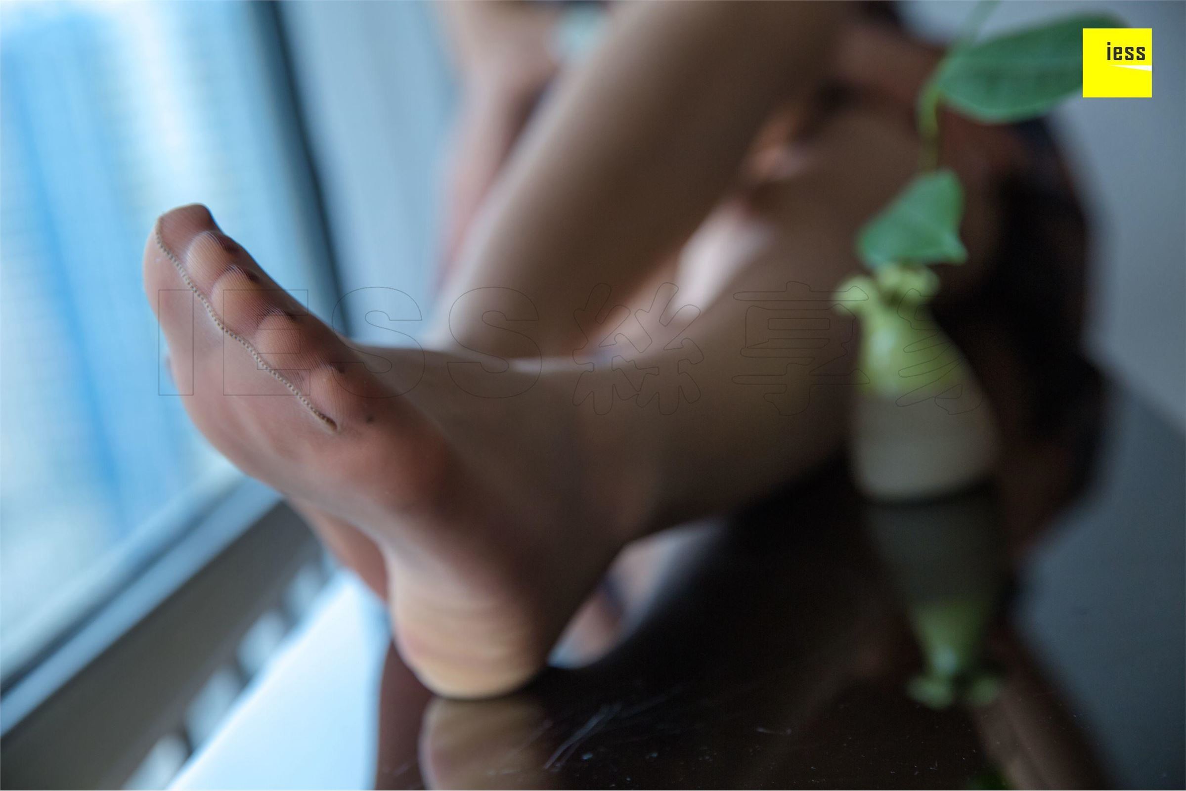 [IESS异思趣向]2018.11.09 SXJ356 七七