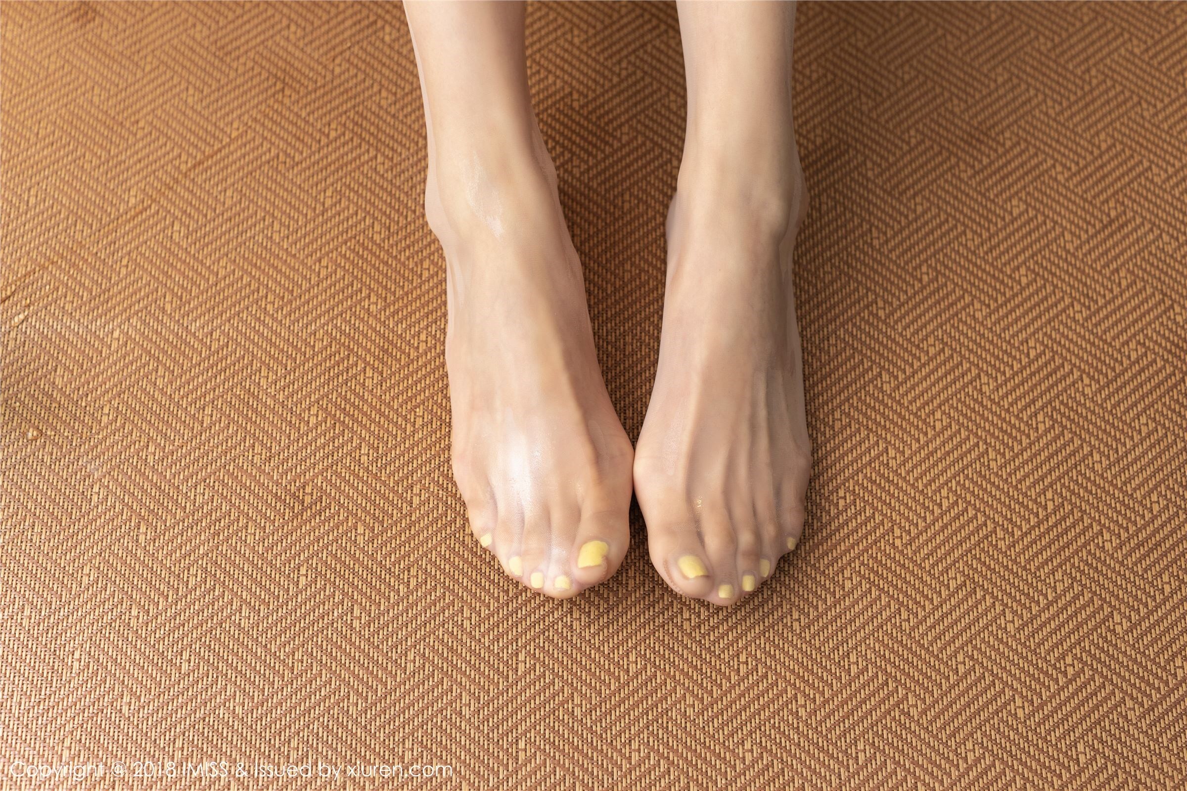 [IMiss爱蜜社]2018.11.27 Vol.309 小狐狸Kathryn