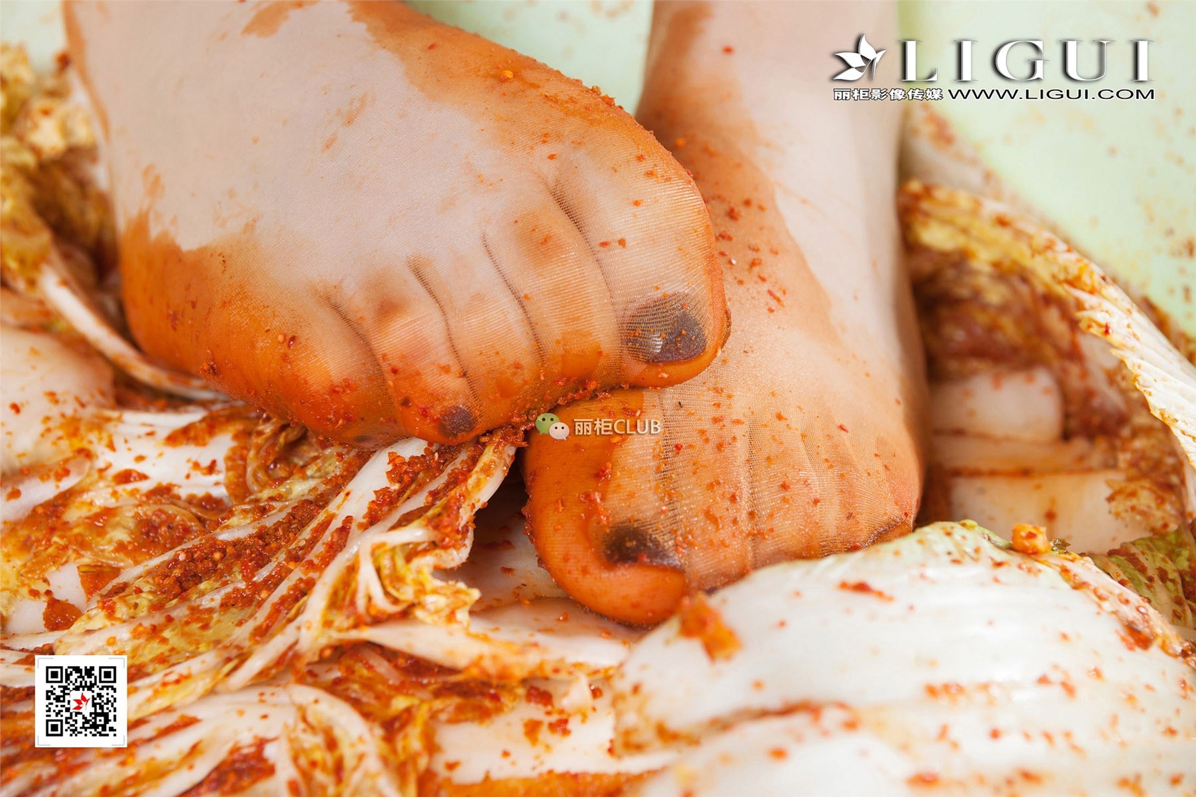 [Ligui丽柜]2017.11.24 网络丽人 Model 飞飞