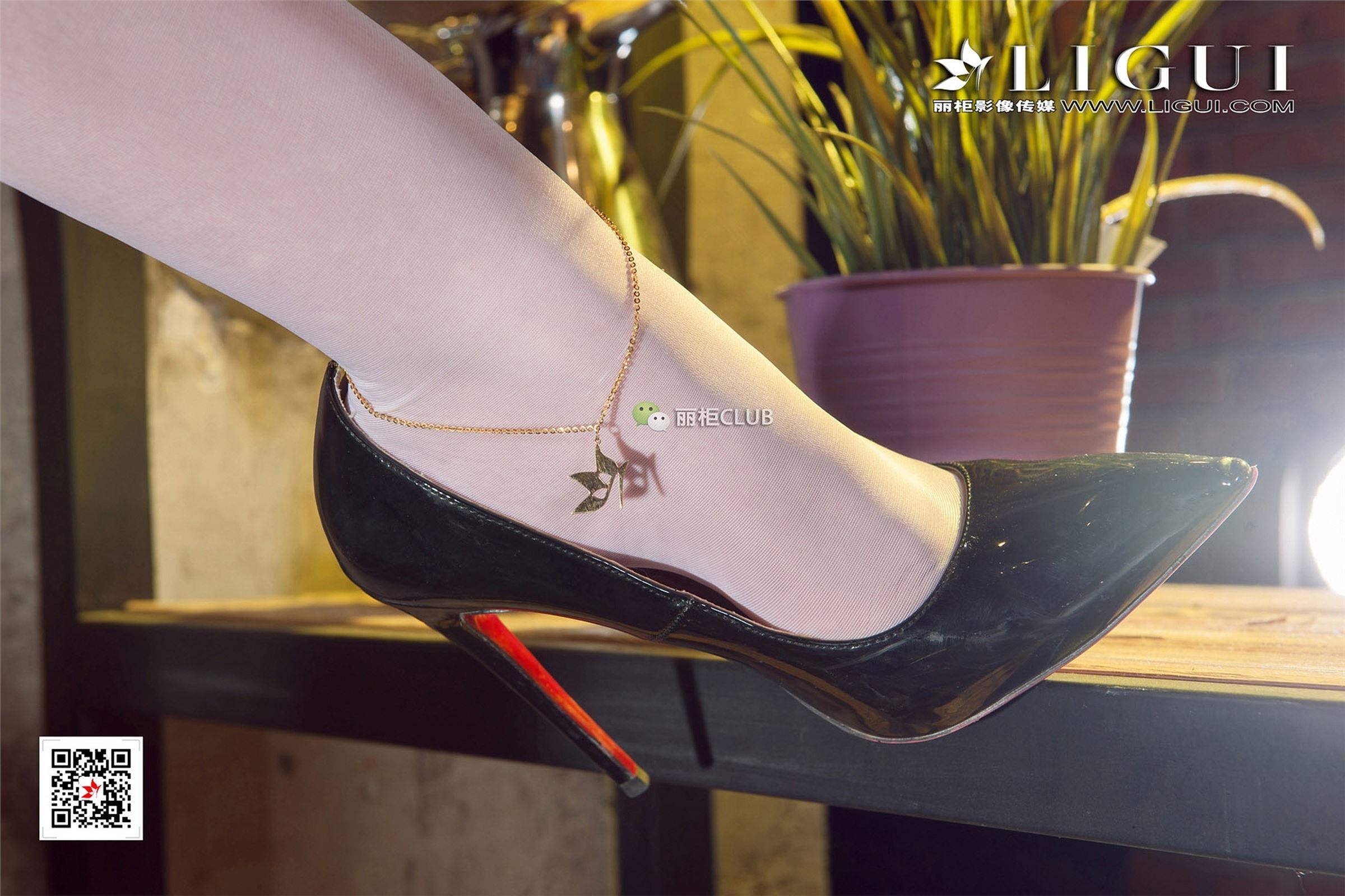 [Ligui丽柜]2017.12.11 网络丽人 Model 然然