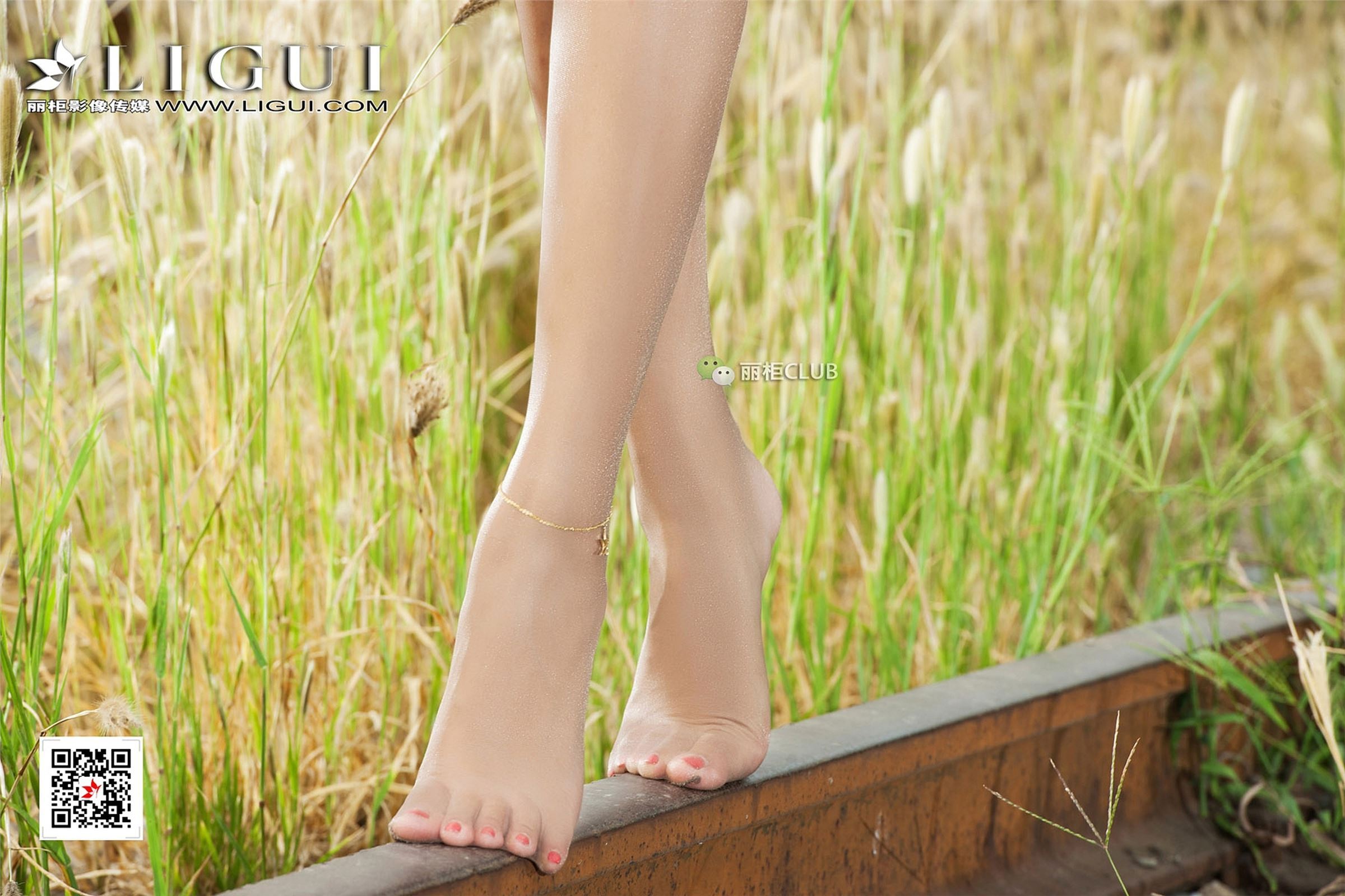 [Ligui丽柜]2017.12.13 网络丽人 Model 思彤