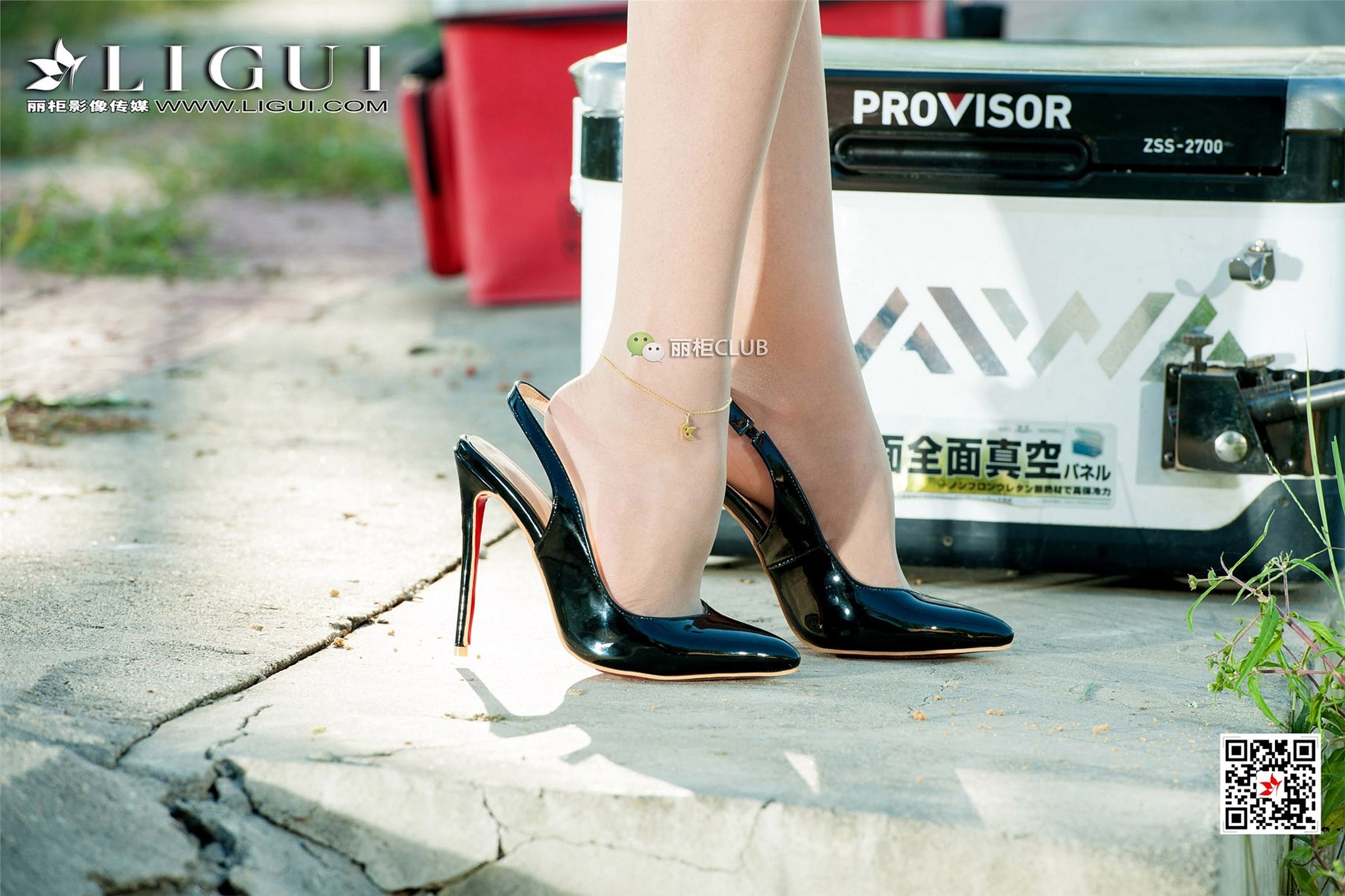 [Ligui丽柜]2017.12.19 网络丽人 Model 温蒂