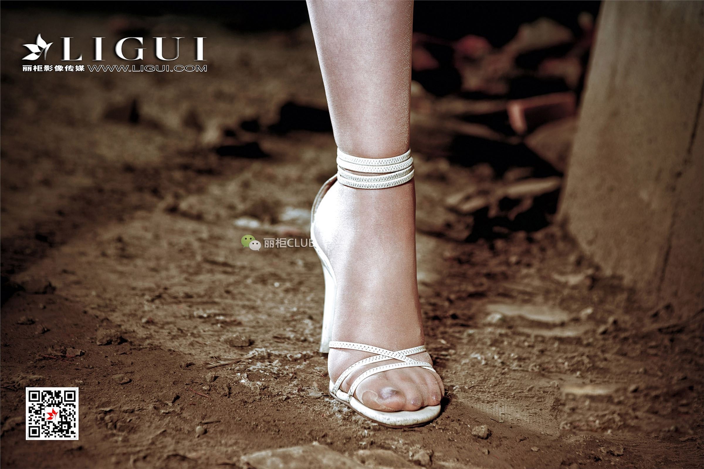 [Ligui丽柜]2018.01.05 网络丽人 Model 黄芬