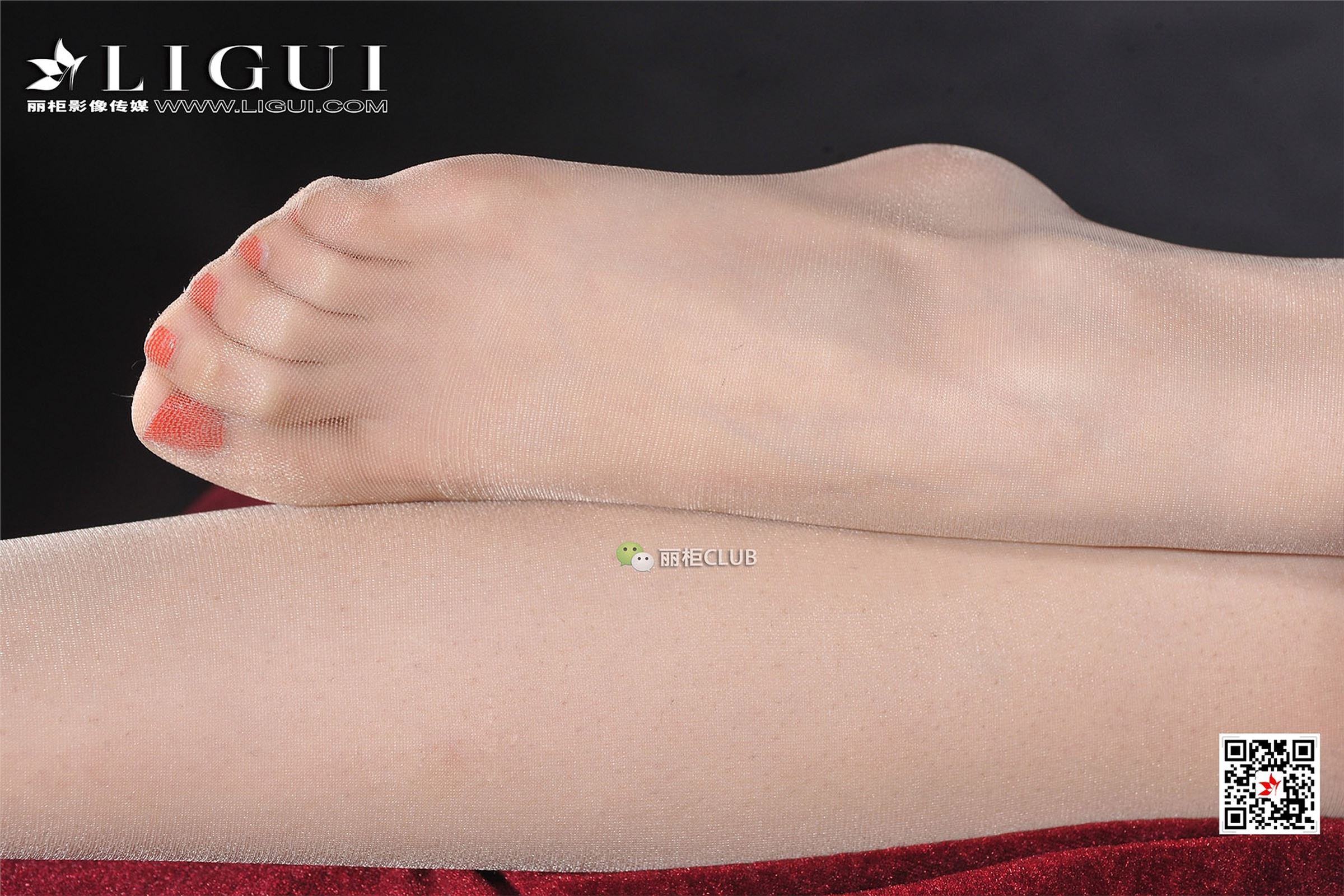 [Ligui丽柜]2018.01.10 网络丽人 Model 美辰
