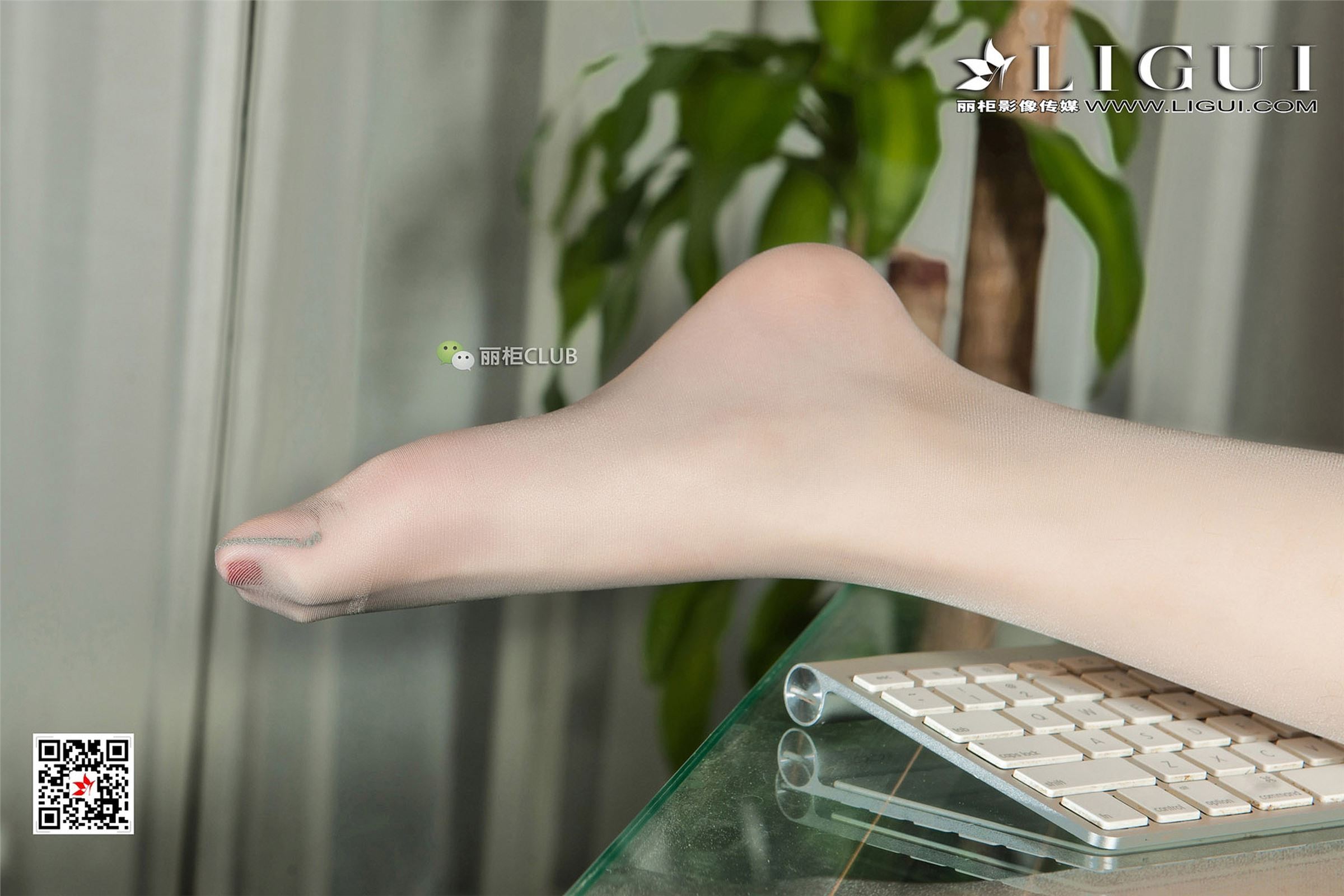 [Ligui丽柜]2018.01.11 网络丽人 Model 媛宝