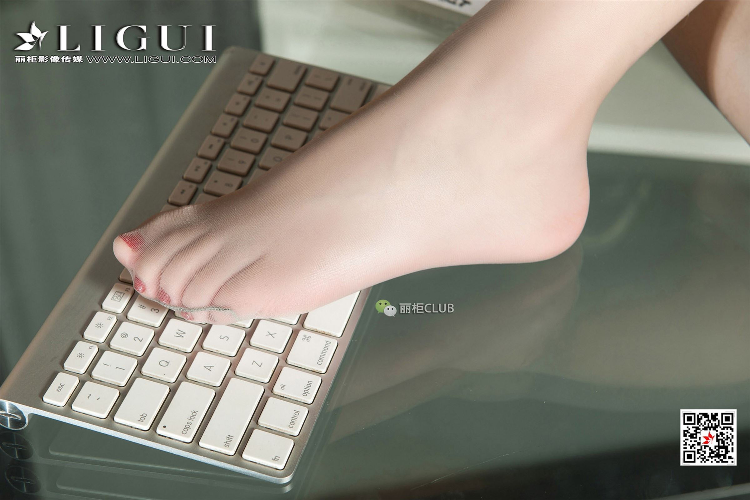 [Ligui丽柜]2018.01.11 网络丽人 Model 媛宝