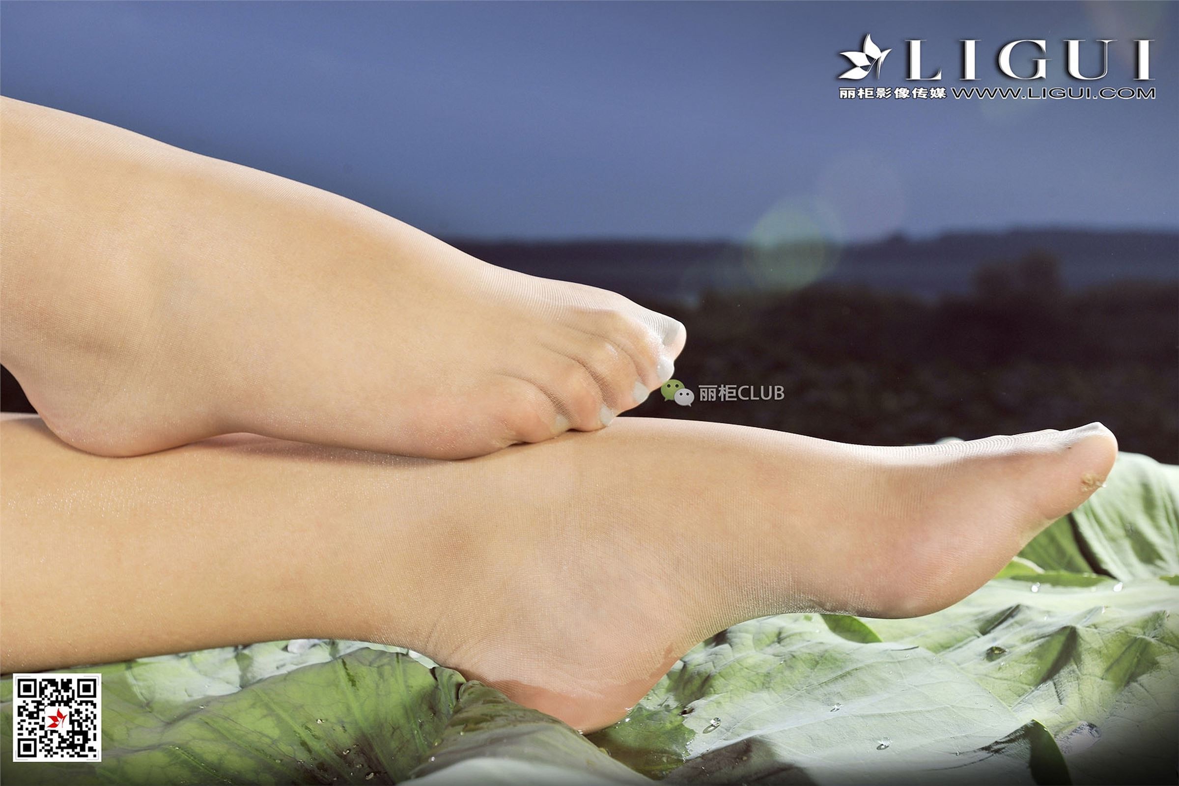 [Ligui丽柜]2018.01.23 网络丽人 Model Amily