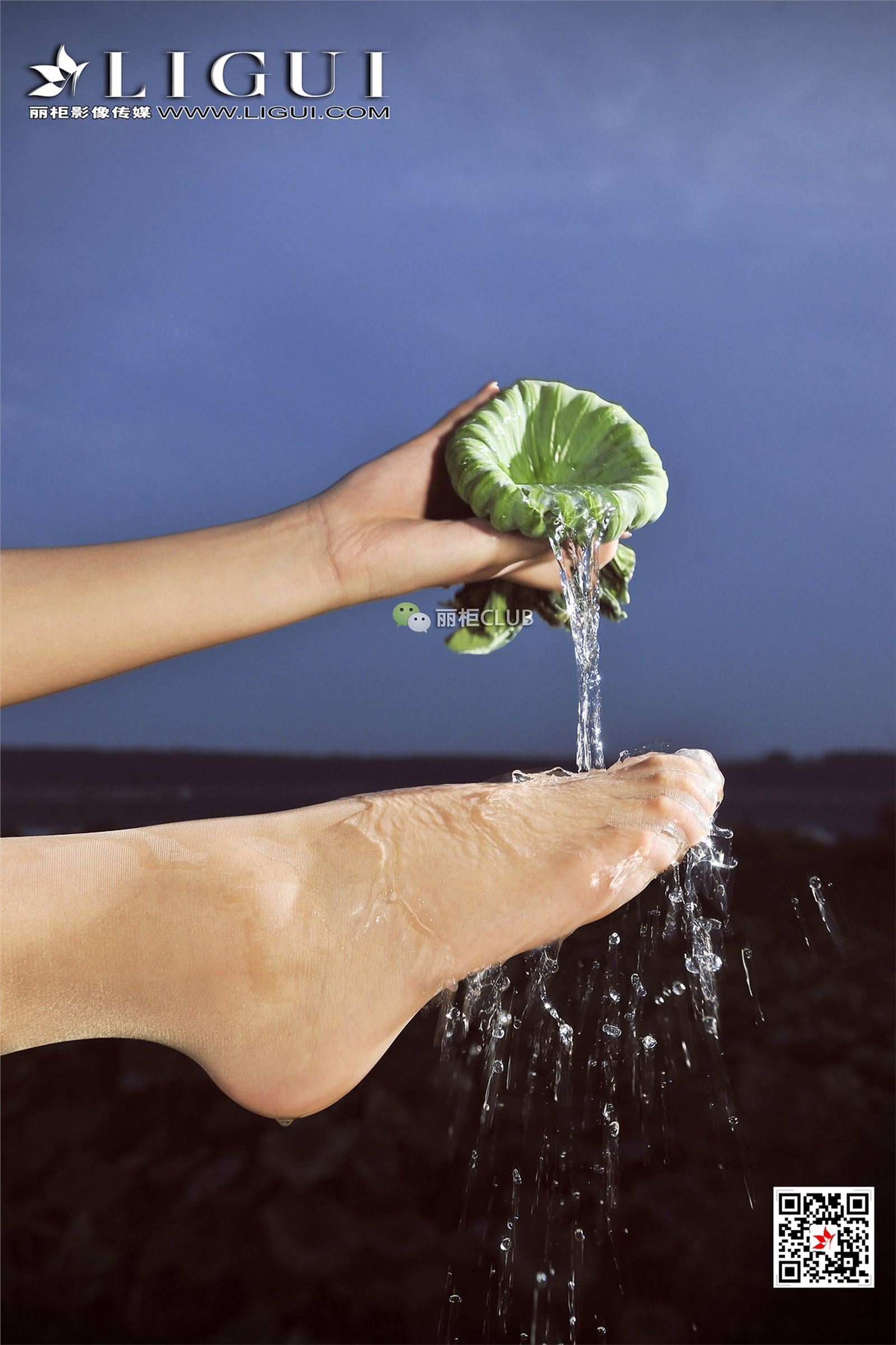 [Ligui丽柜]2018.01.23 网络丽人 Model Amily