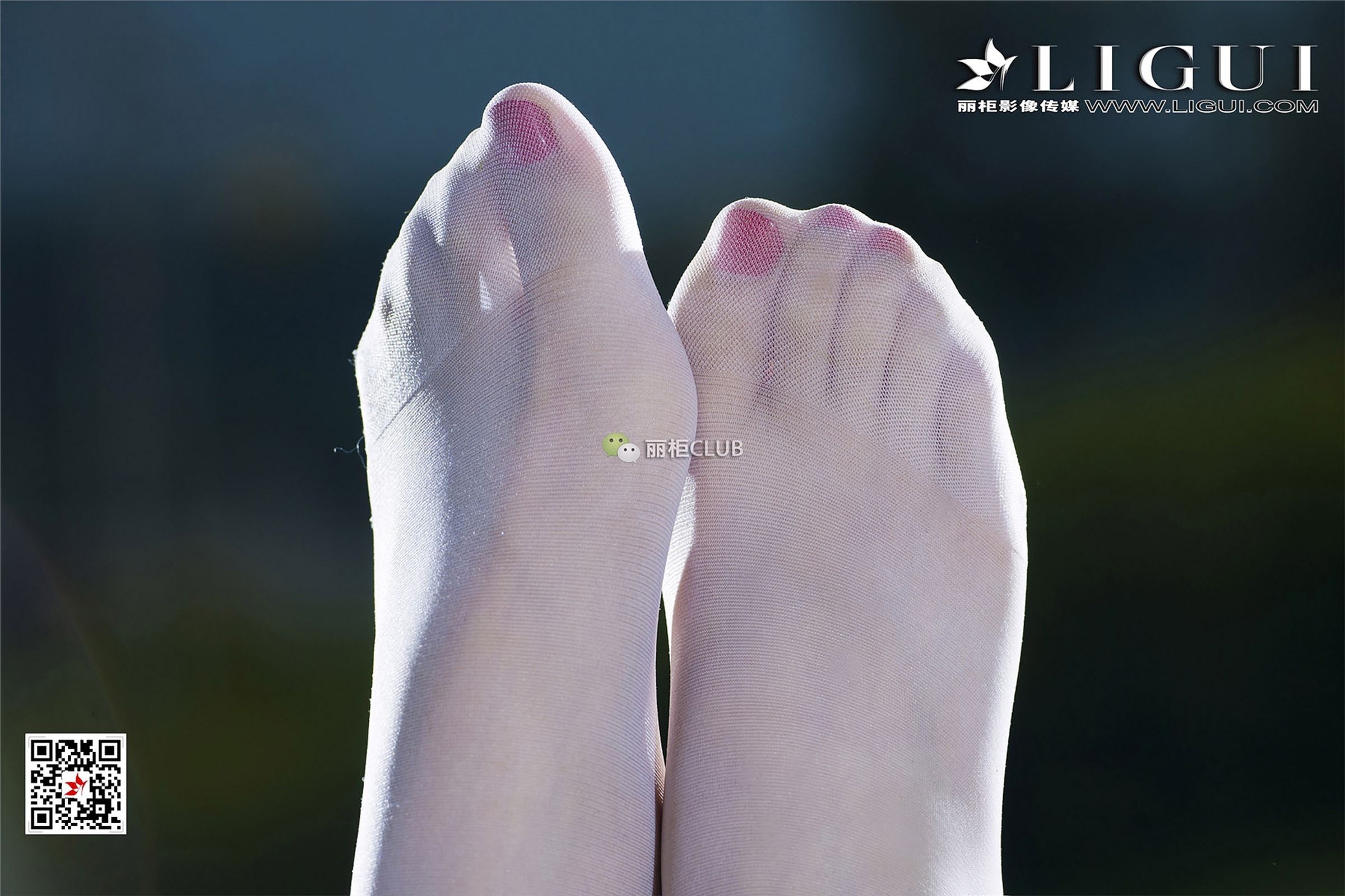 [Ligui丽柜]2018.01.29 网络丽人 Model 雪儿