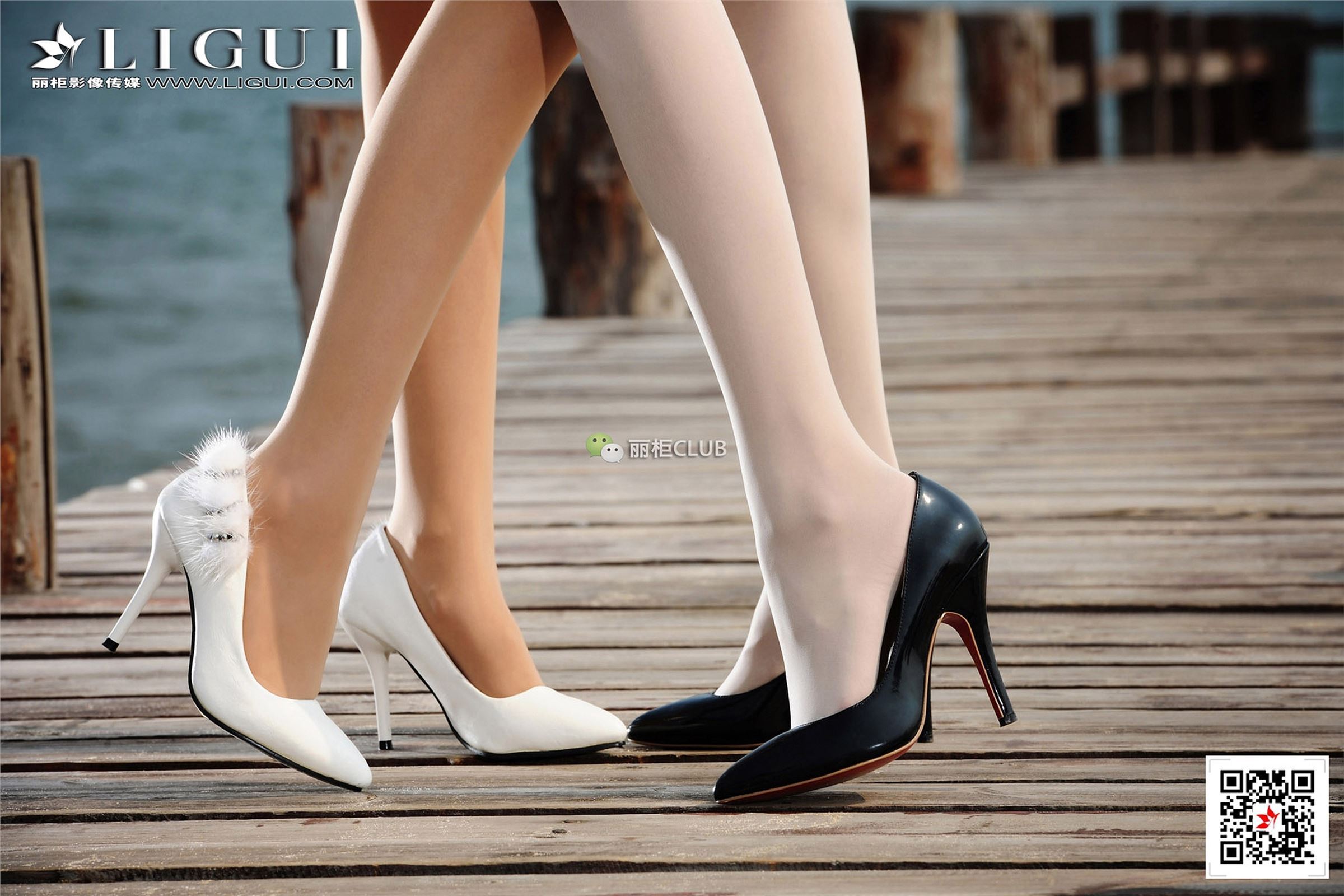 [Ligui丽柜]2018.02.05 网络丽人 Model Vicky&桃子