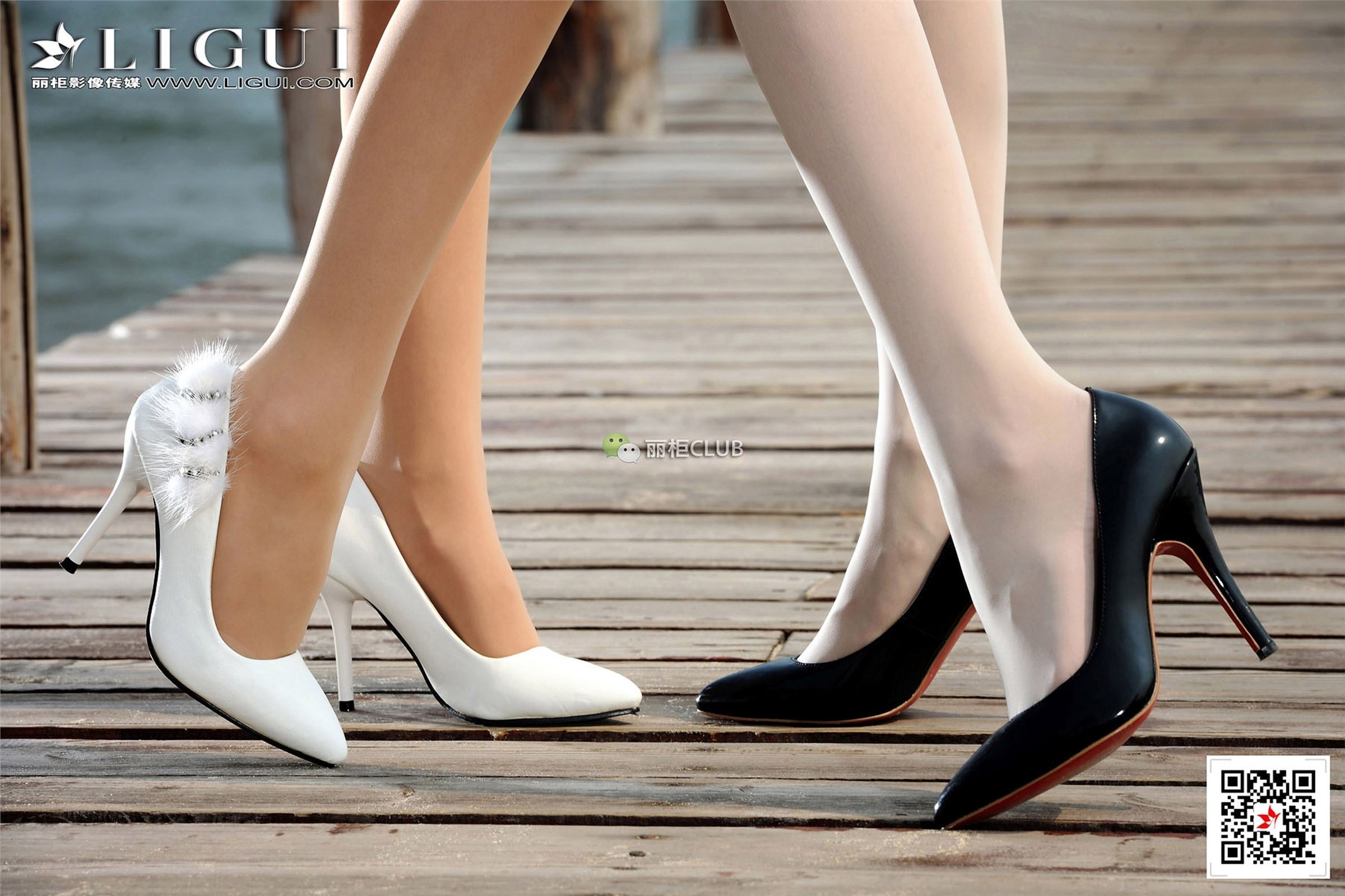 [Ligui丽柜]2018.02.05 网络丽人 Model Vicky&桃子