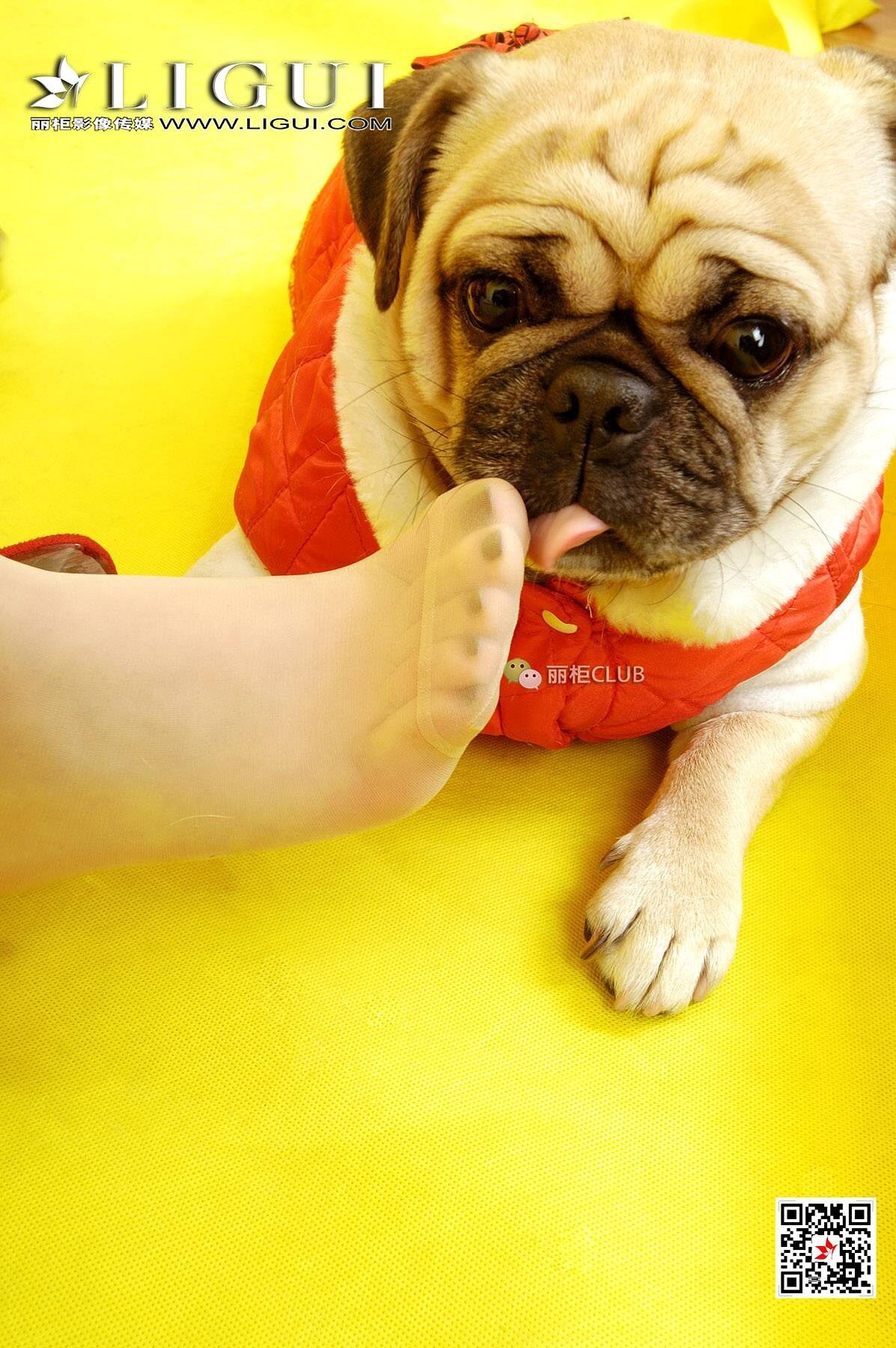 [Ligui丽柜]2018.05.11 网络丽人 Model 璐璐