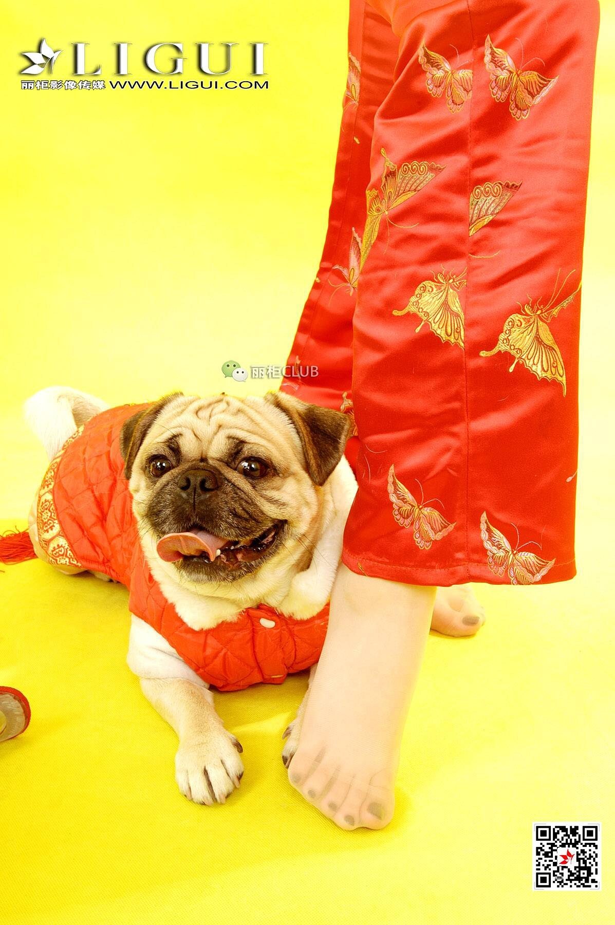 [Ligui丽柜]2018.05.11 网络丽人 Model 璐璐