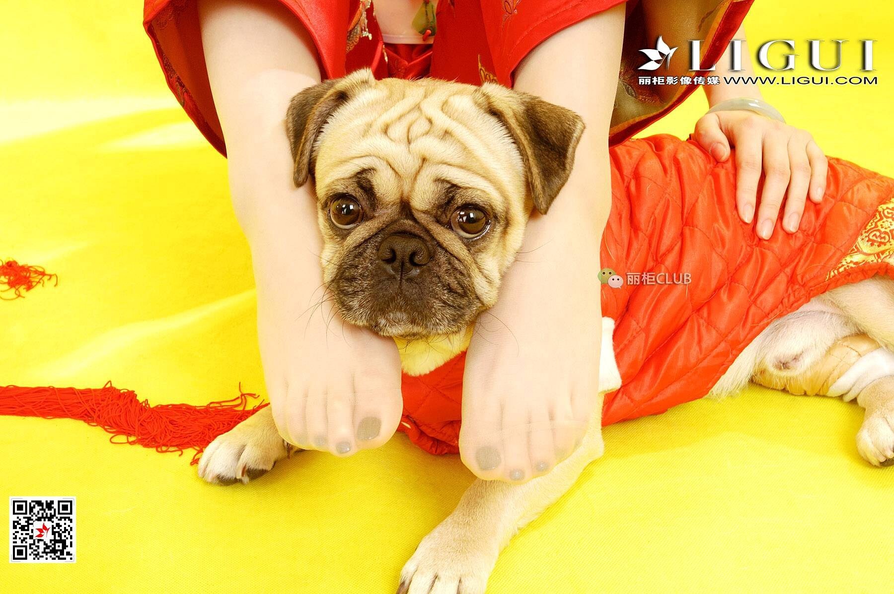 [Ligui丽柜]2018.05.11 网络丽人 Model 璐璐