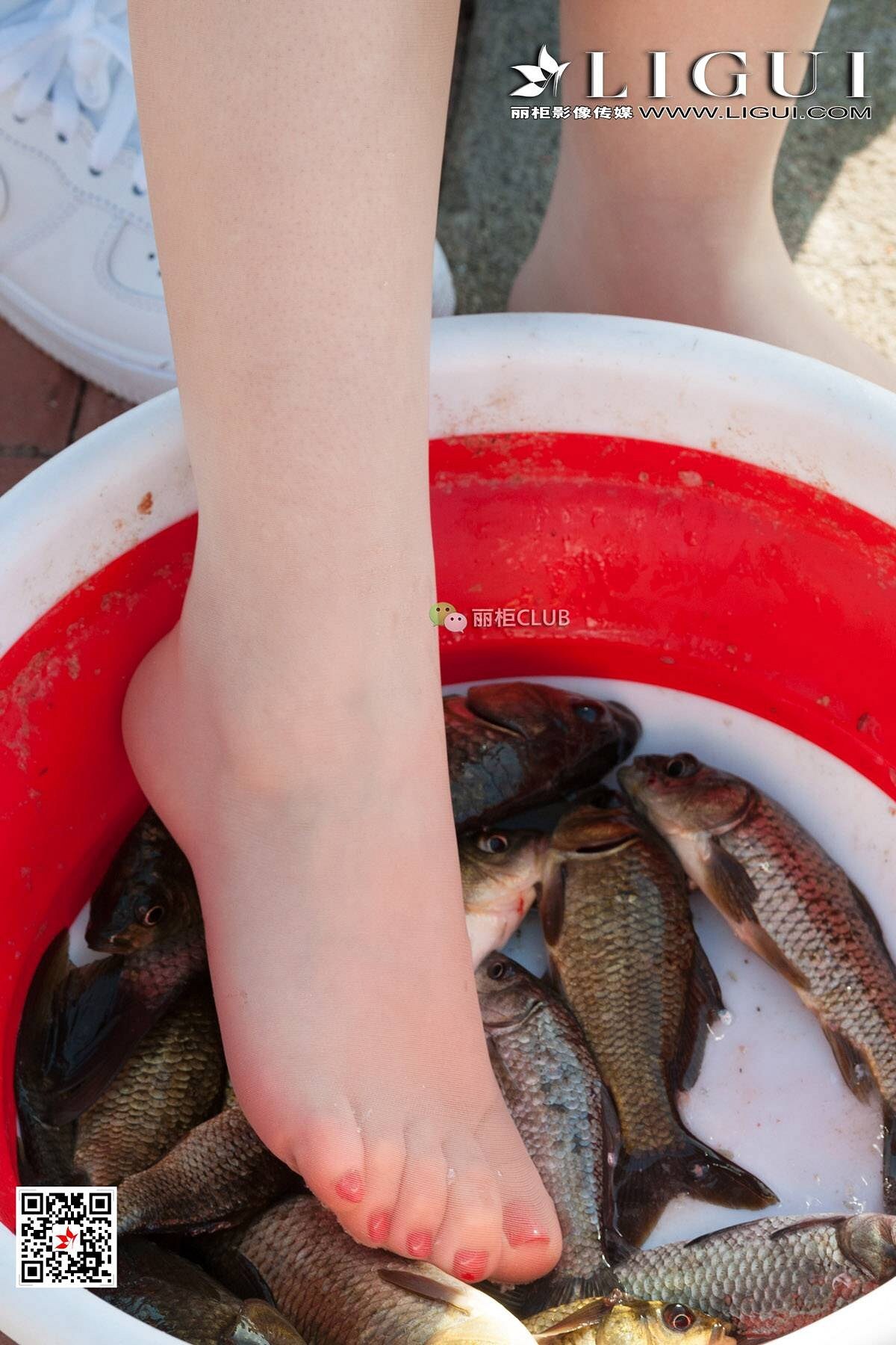 [Ligui丽柜]2018.05.15 网络丽人 Model 筱筱&然然