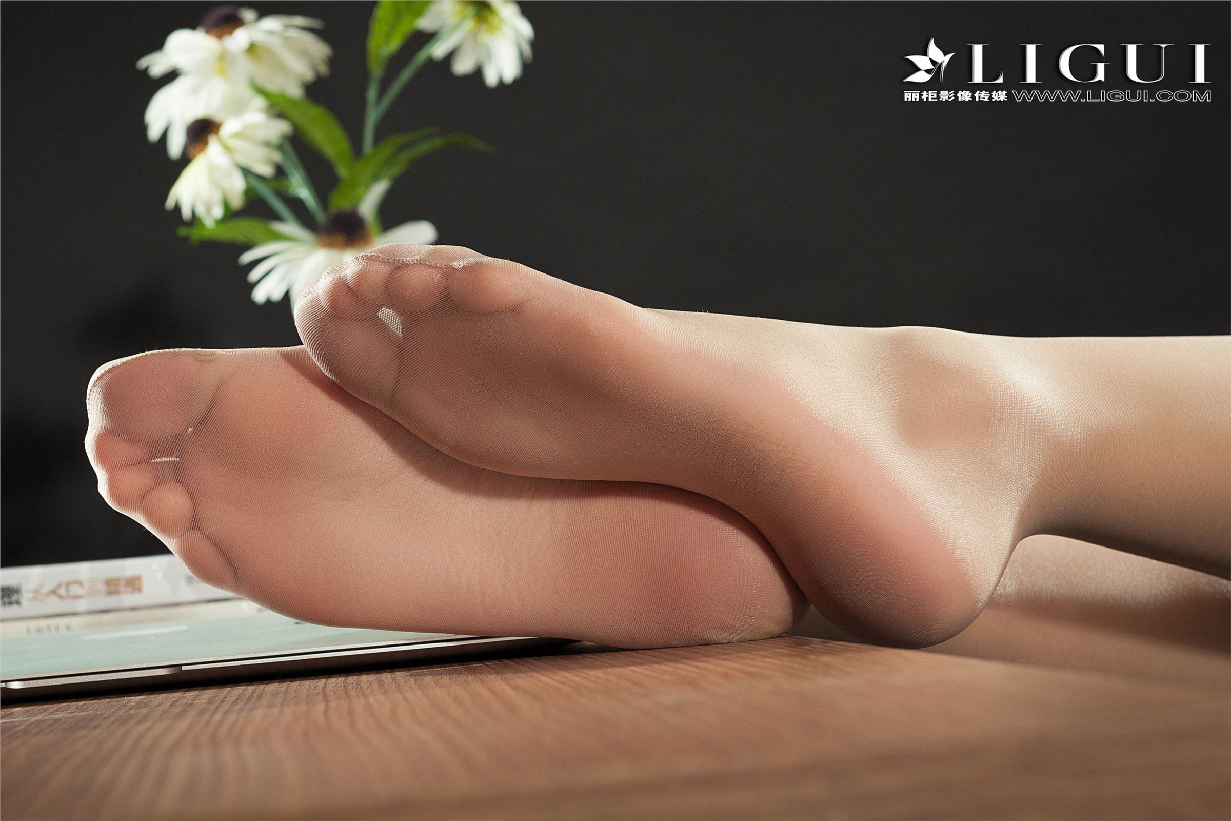 [Ligui丽柜]2018.09.03 网络丽人 Model 孙千琪