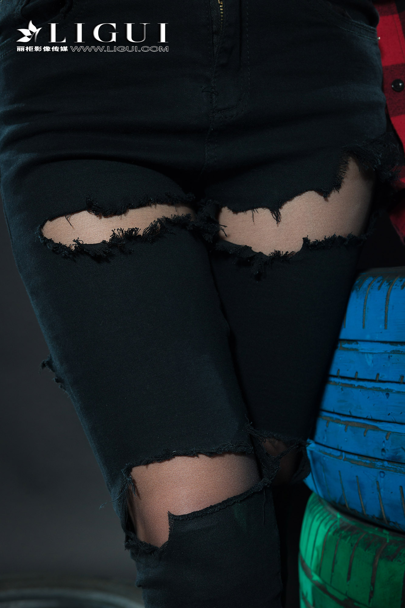 [Ligui丽柜] 2018.11.14 网络丽人 Model 赵维拉